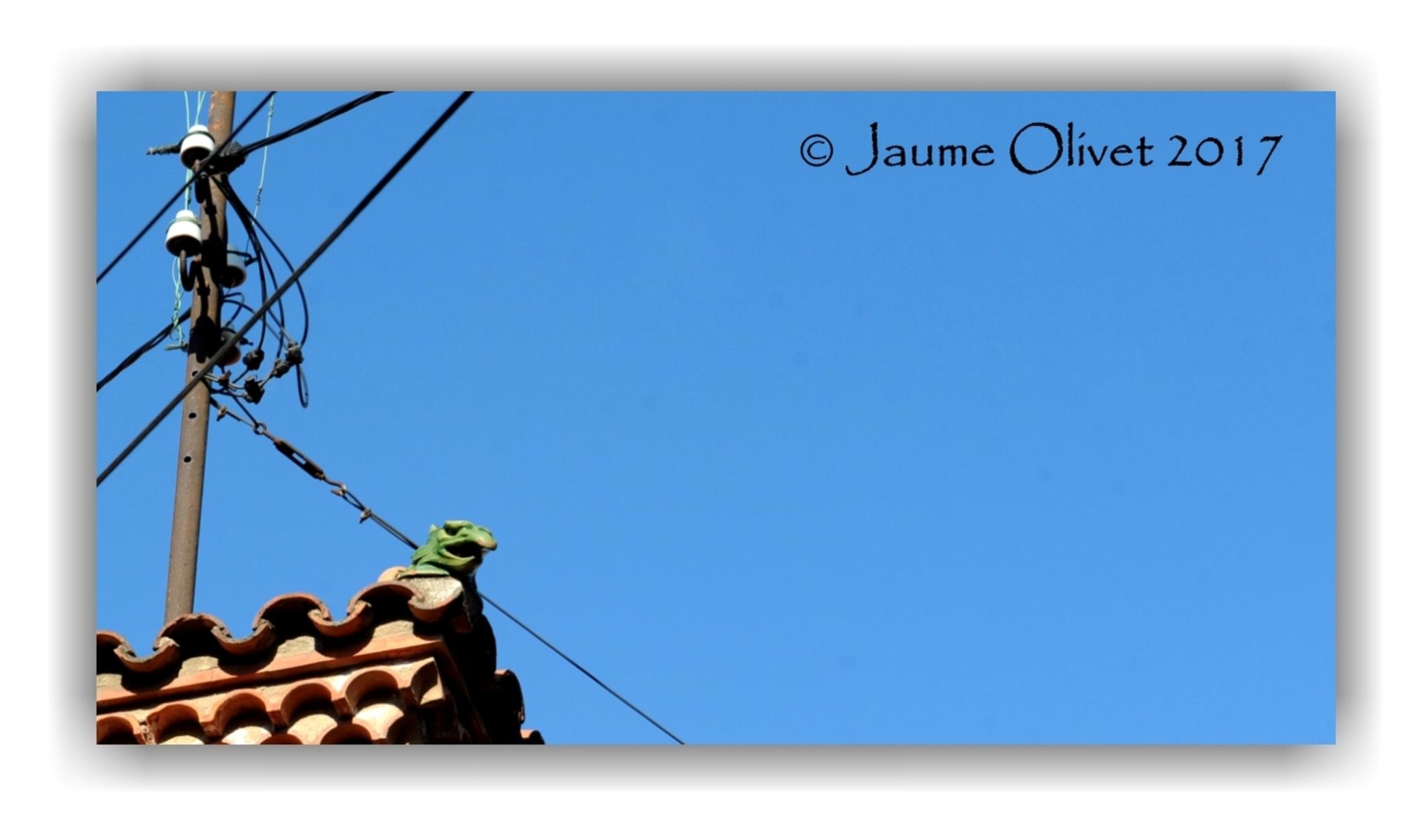 © Jaume Olivet 2017