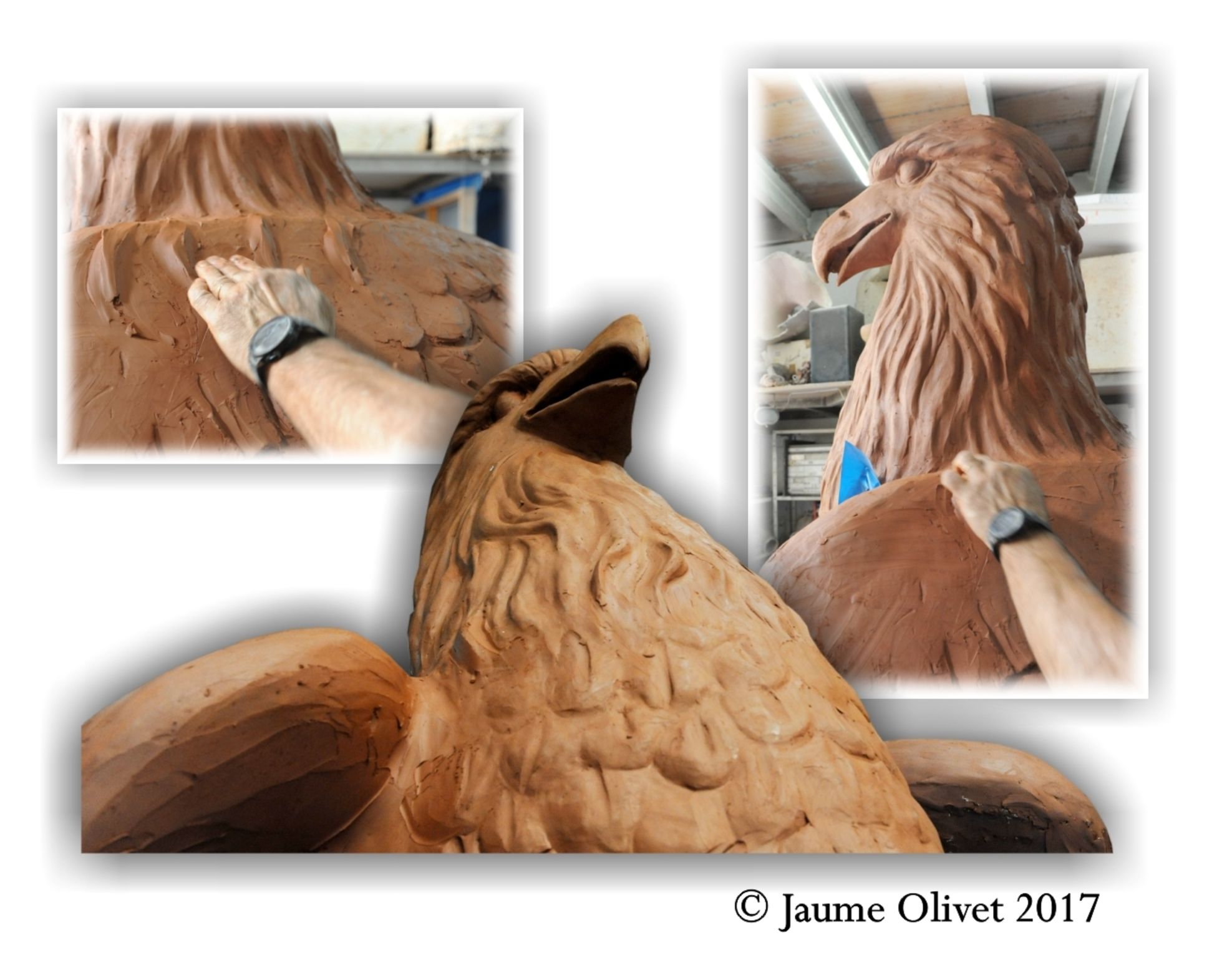  Jaume Olivet 2017
