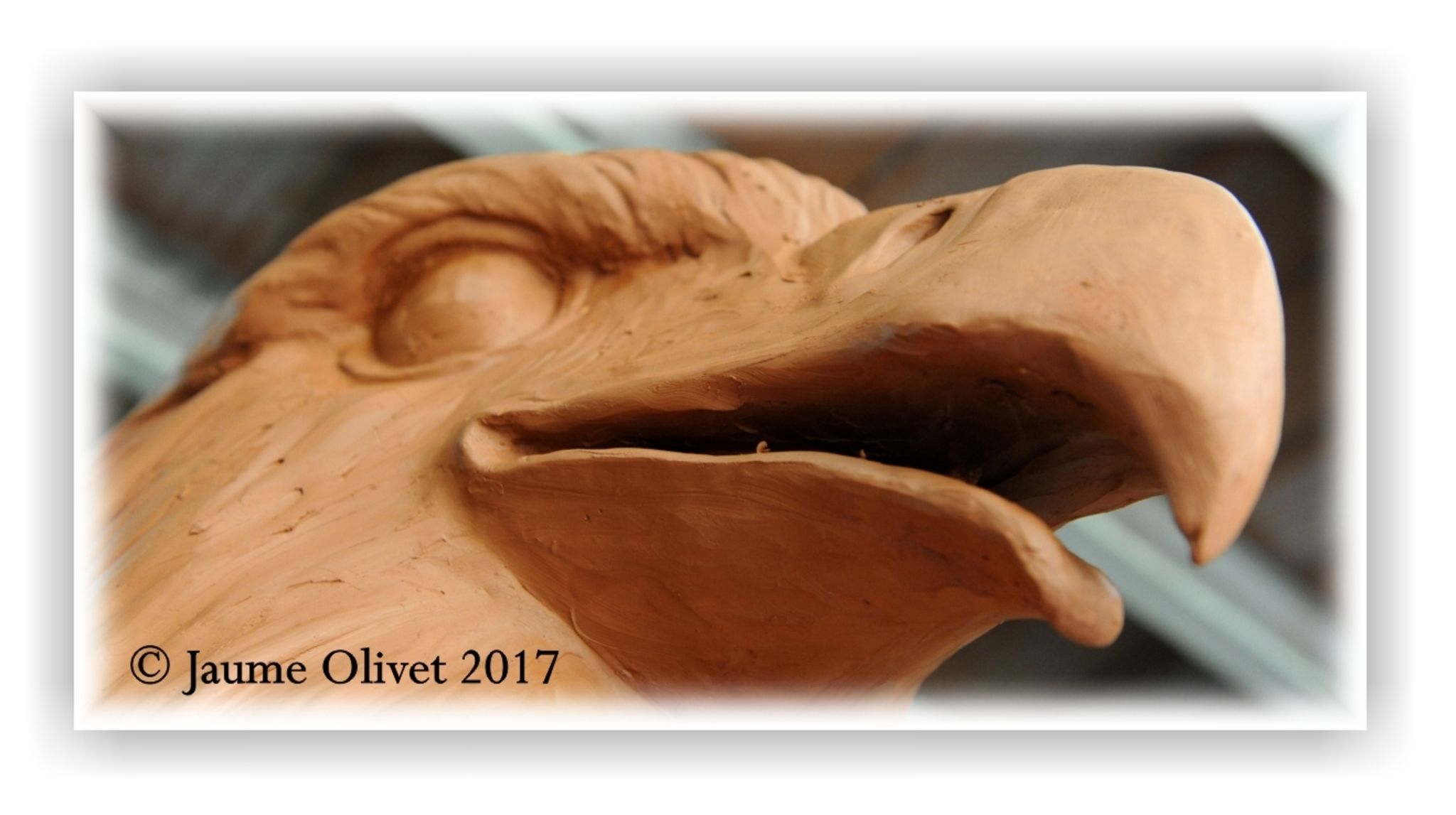  Jaume Olivet 2017