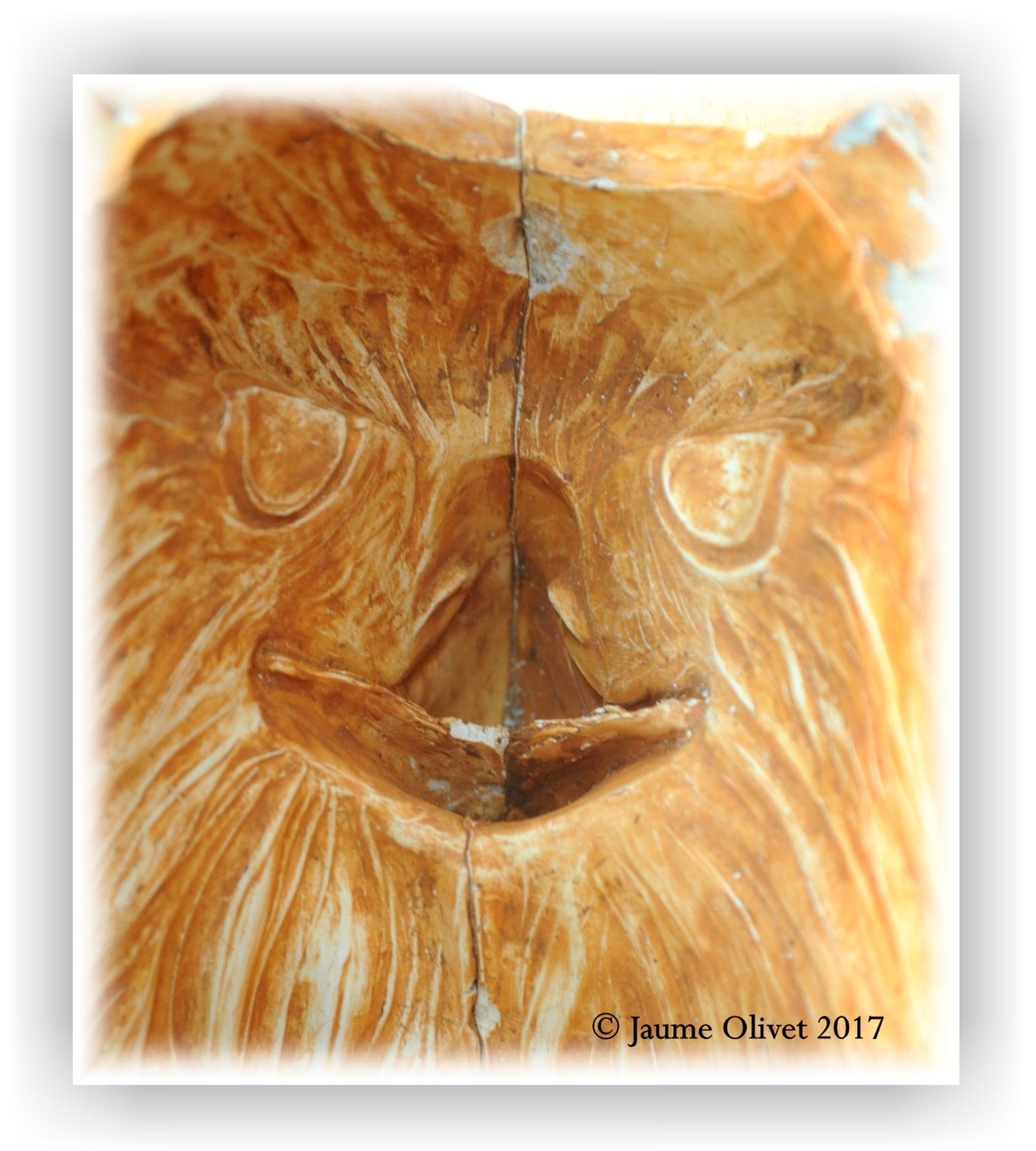  Jaume Olivet 2017