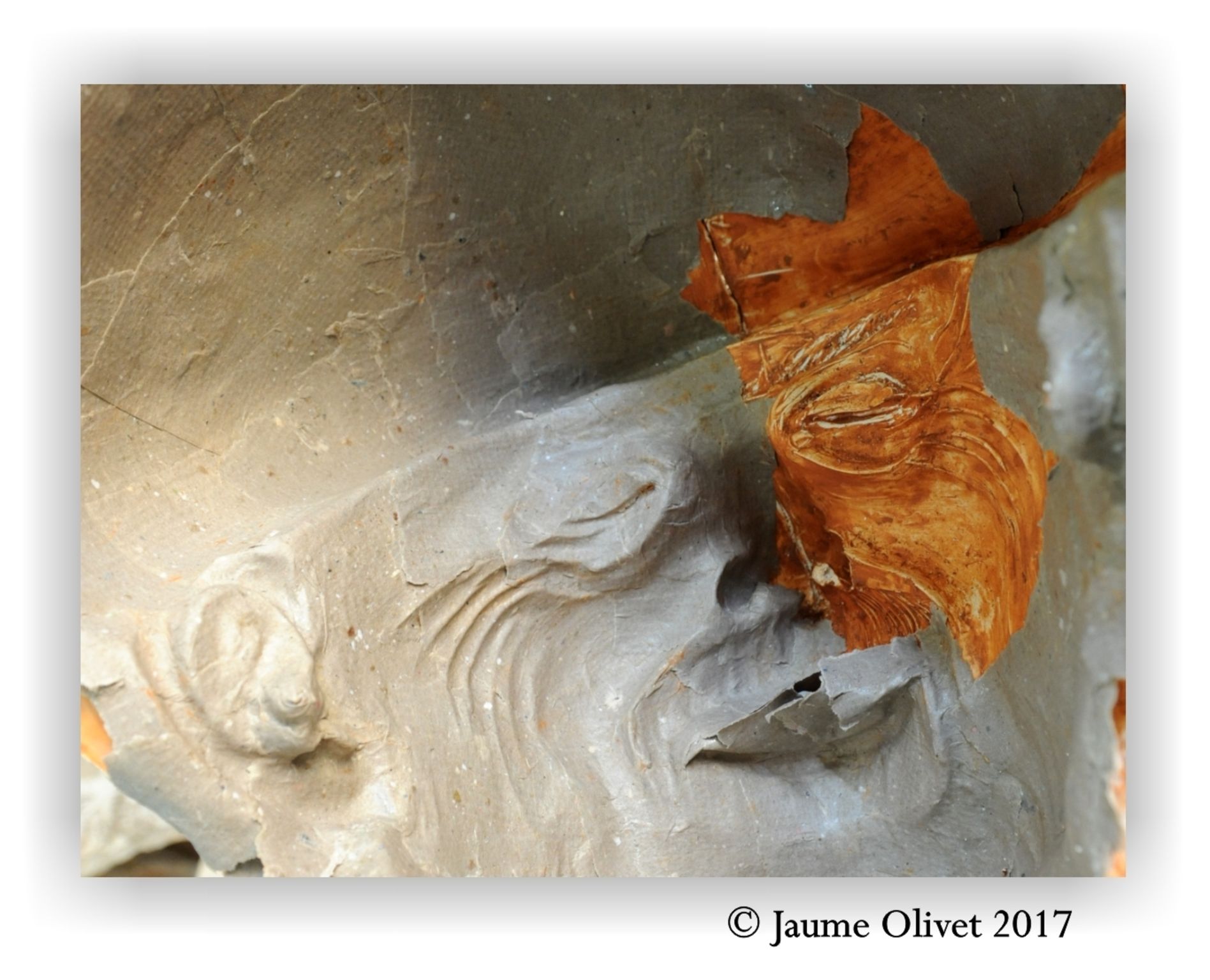  Jaume Olivet 2017