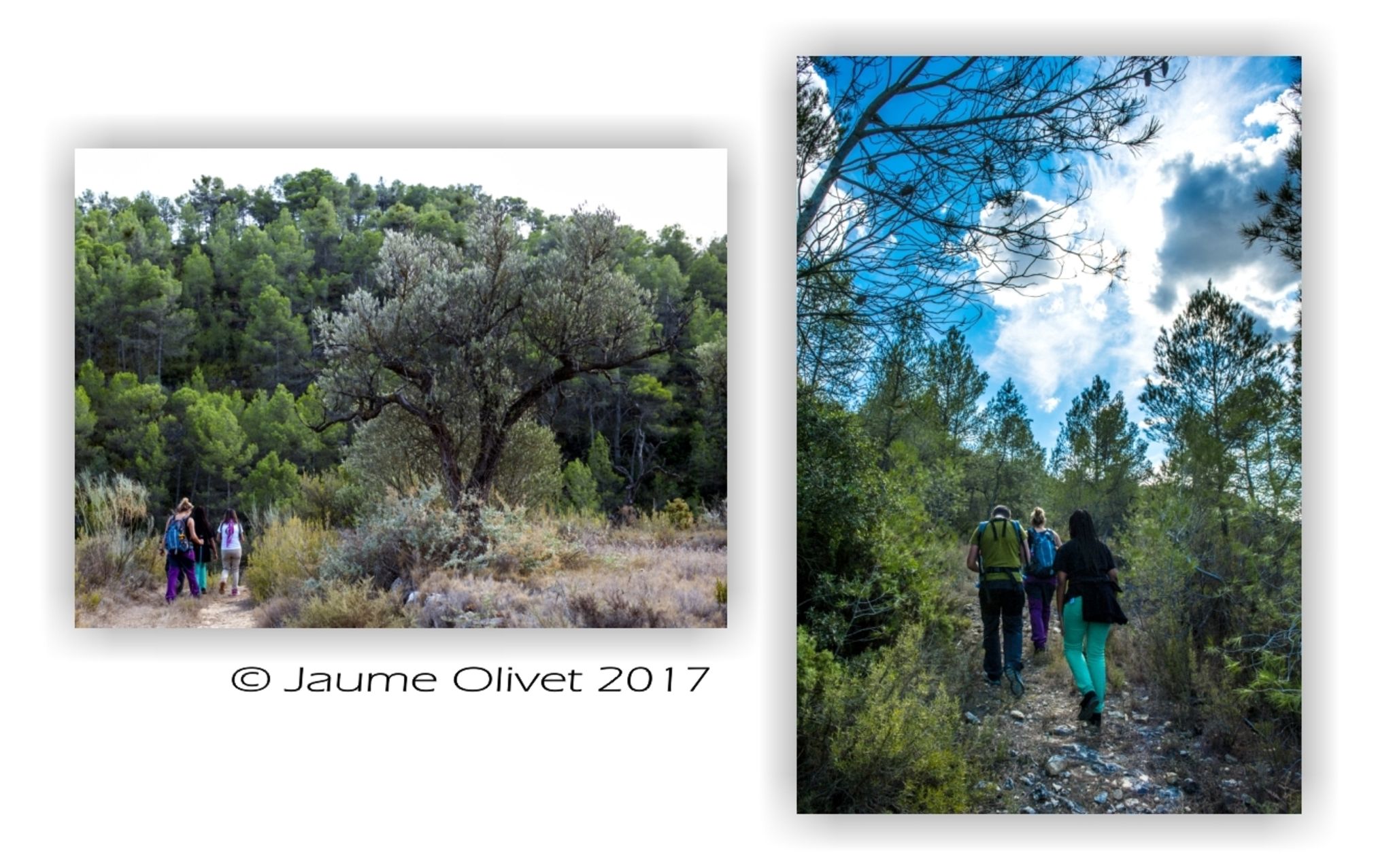  Jaume Olivet 2017