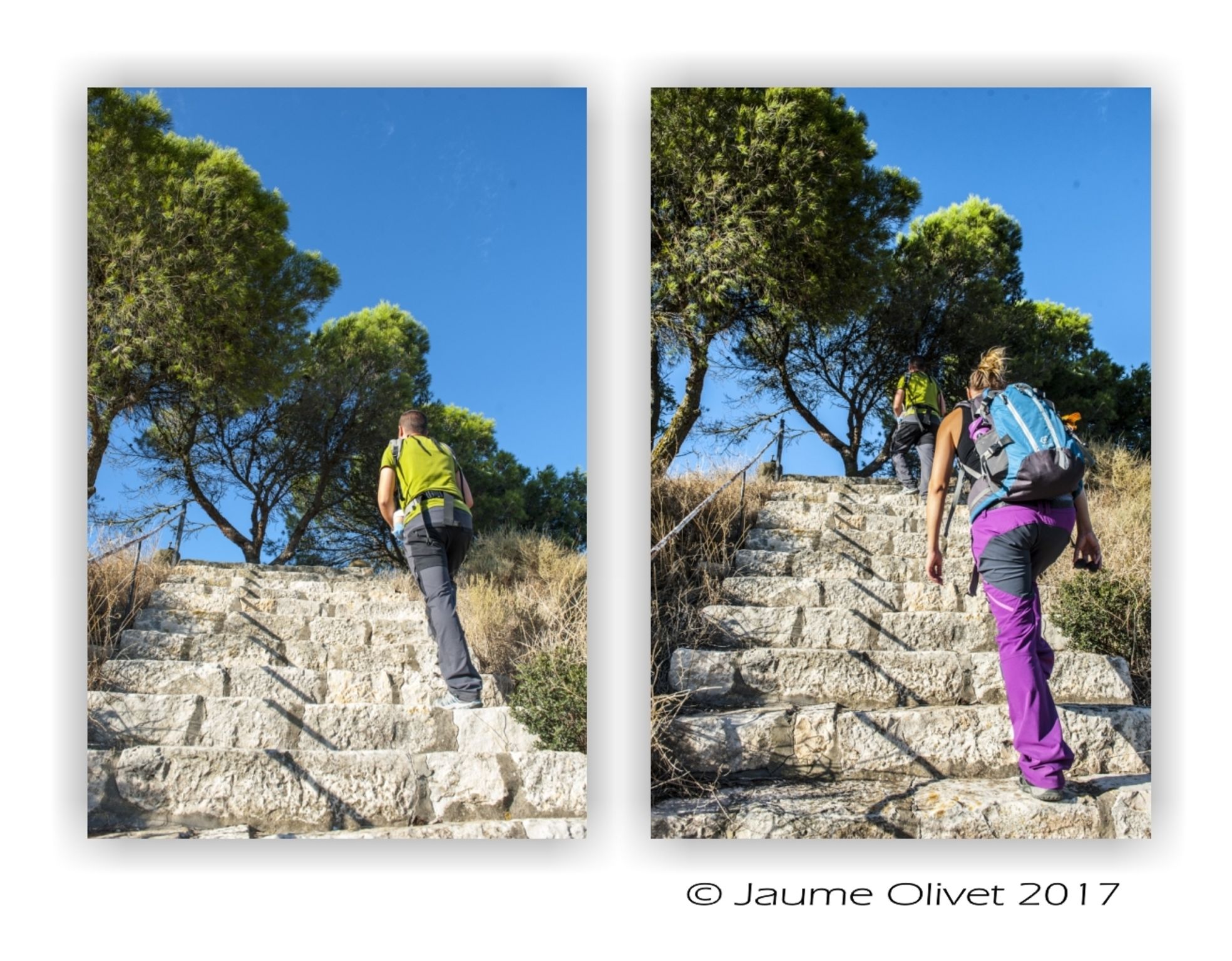  Jaume Olivet 2017