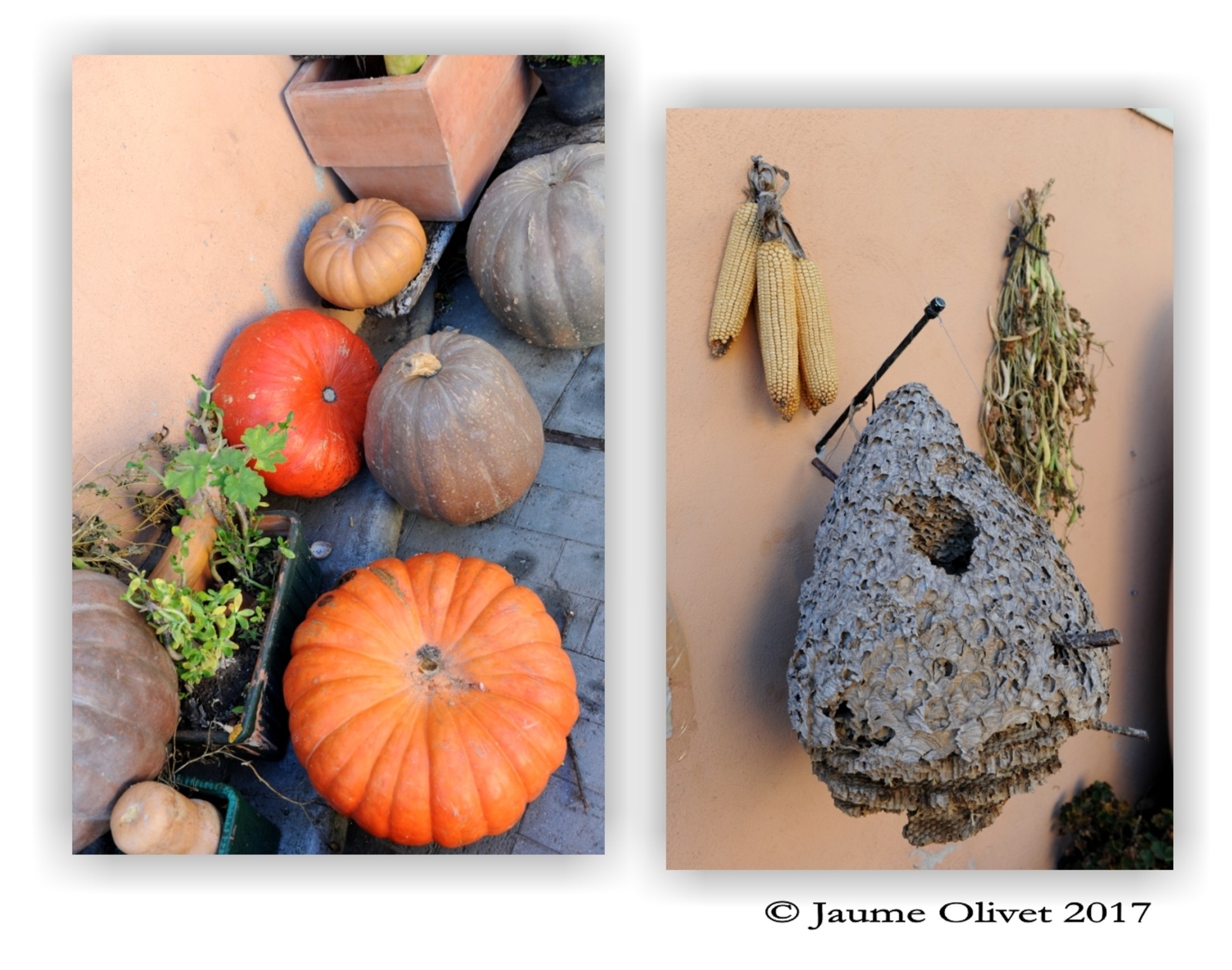 © Jaume Olivet 2017