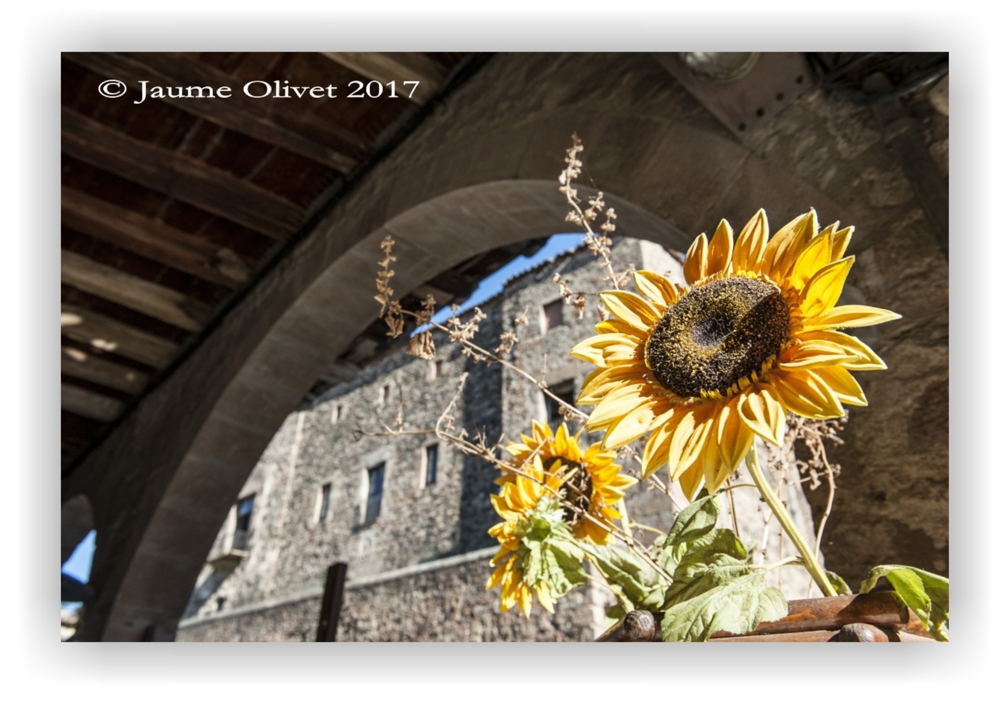 © Jaume Olivet 2017