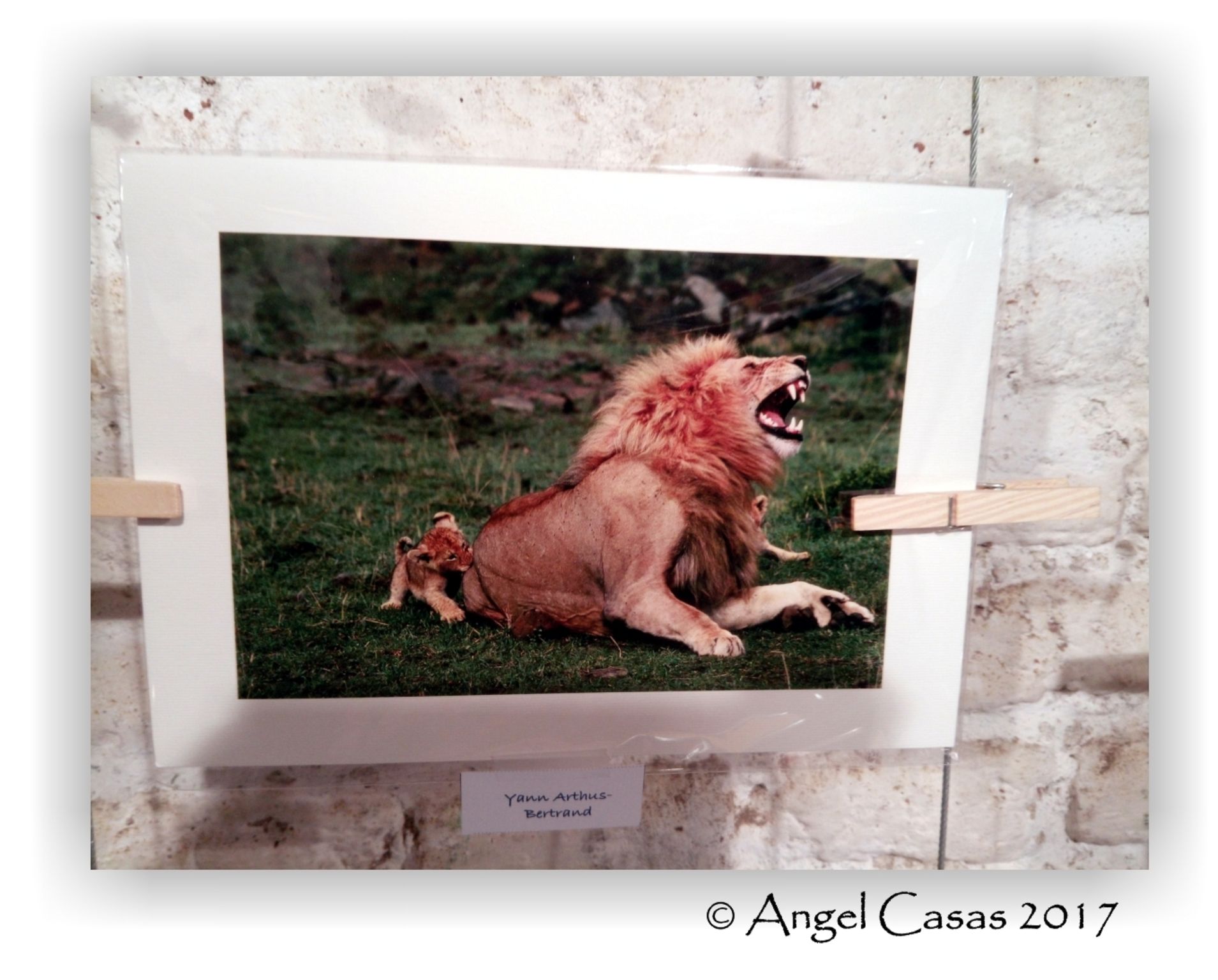  Angel Casas Olivet 2017