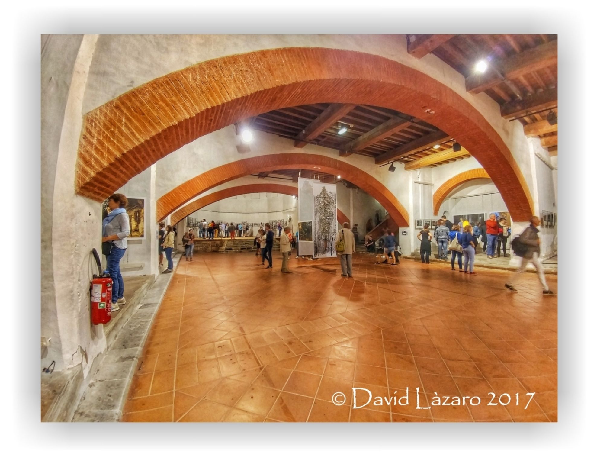  David Lzaro 2017