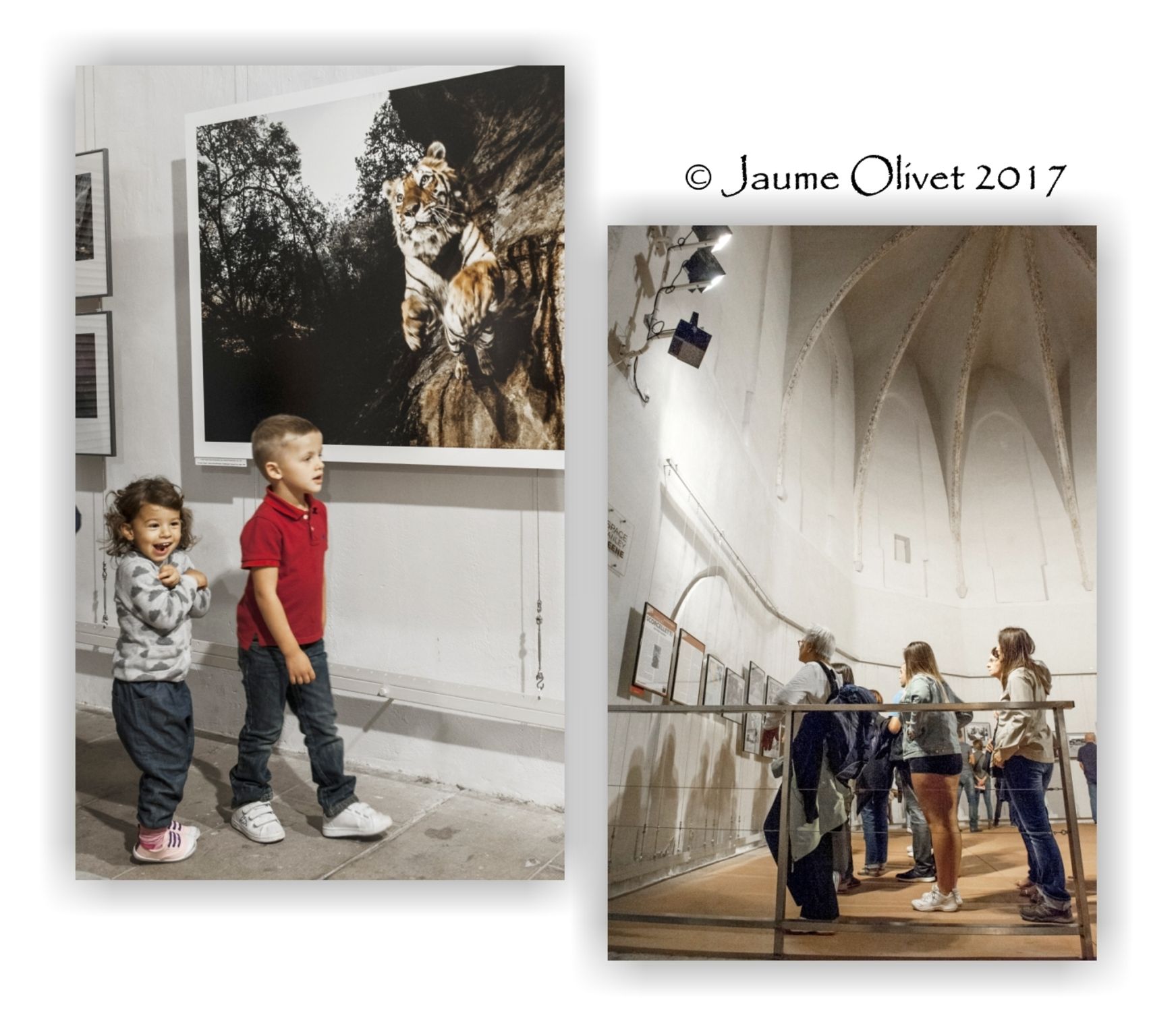  Jaume Olivet 2017
