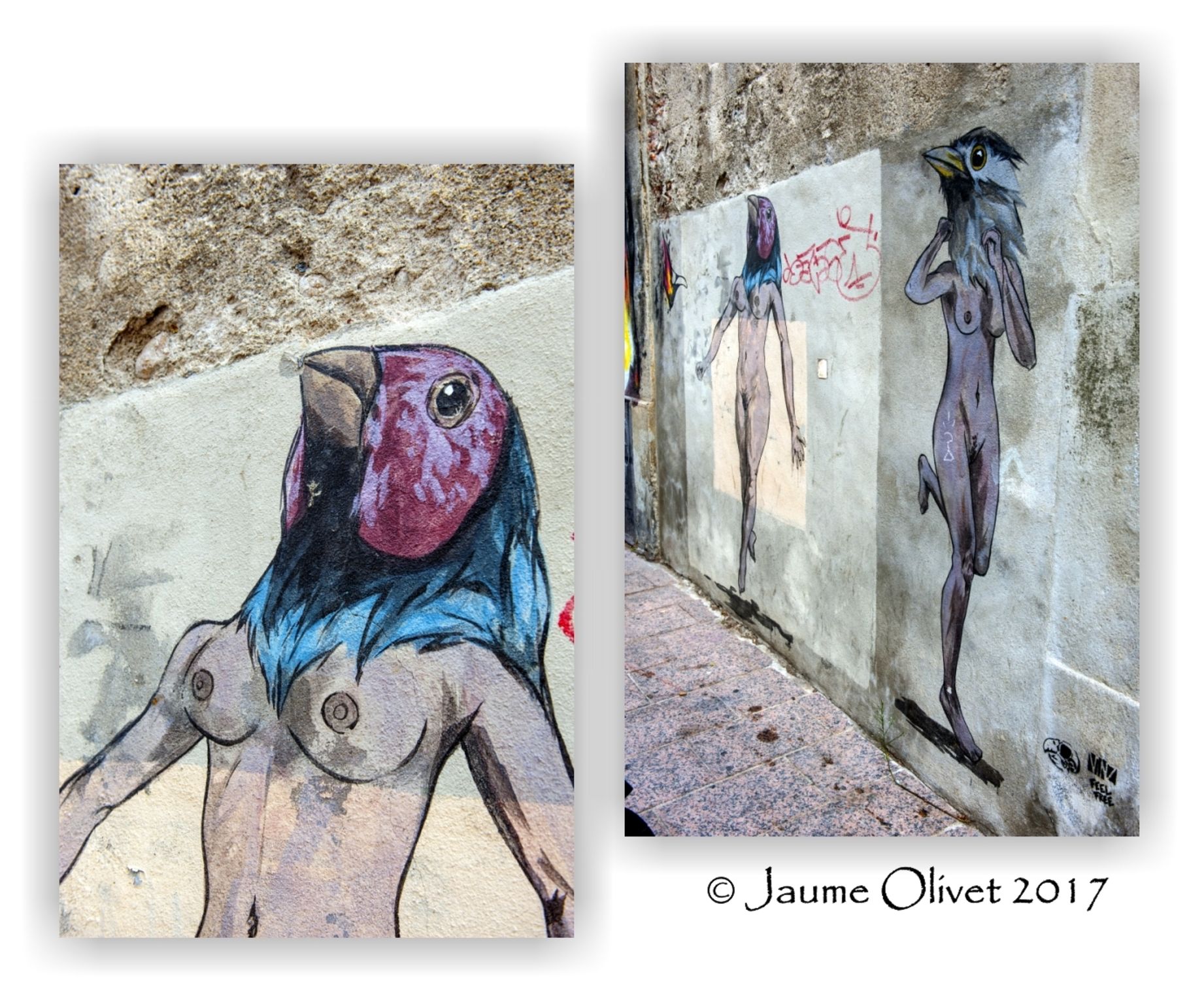  Jaume Olivet 2017