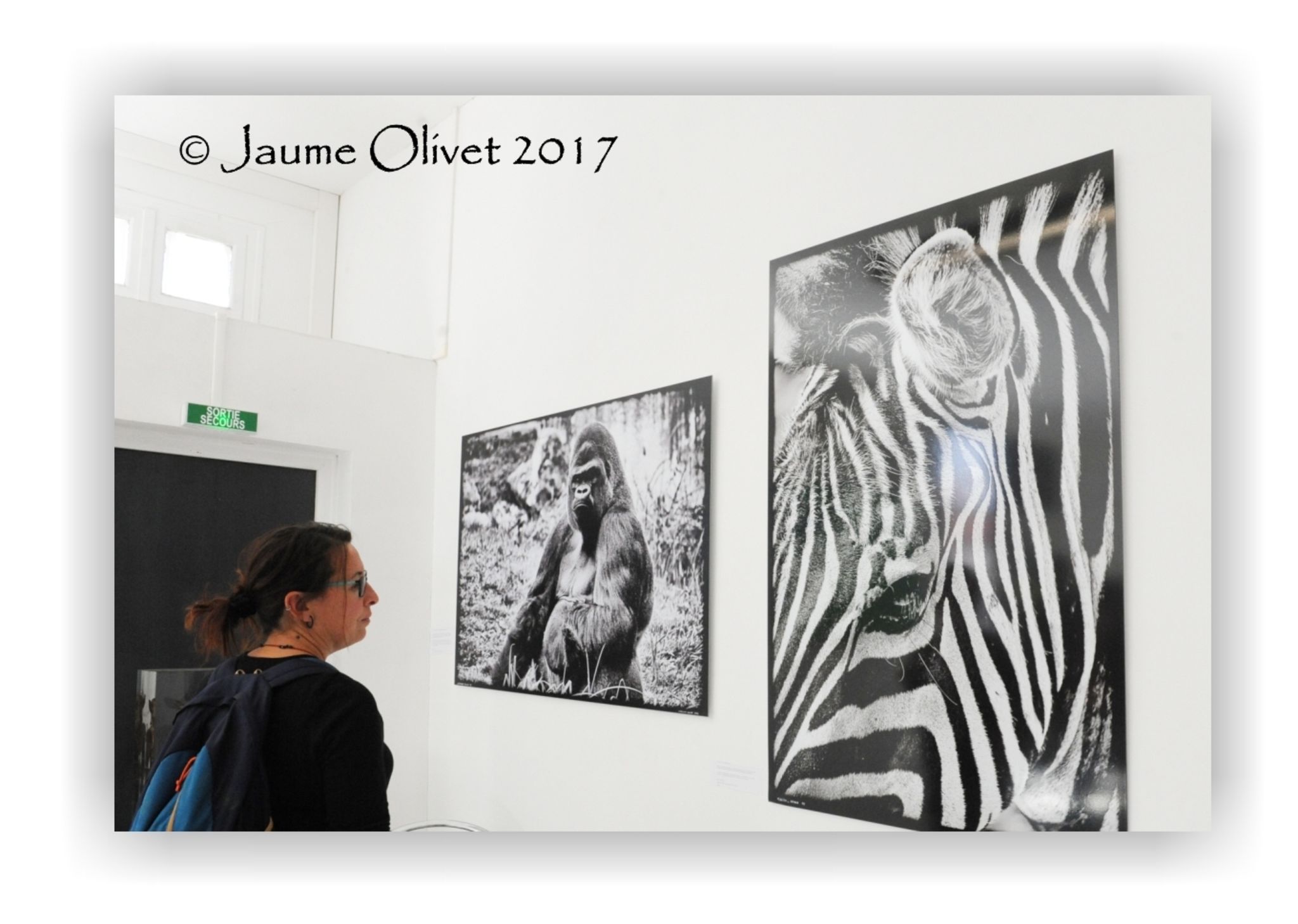  Jaume Olivet 2017