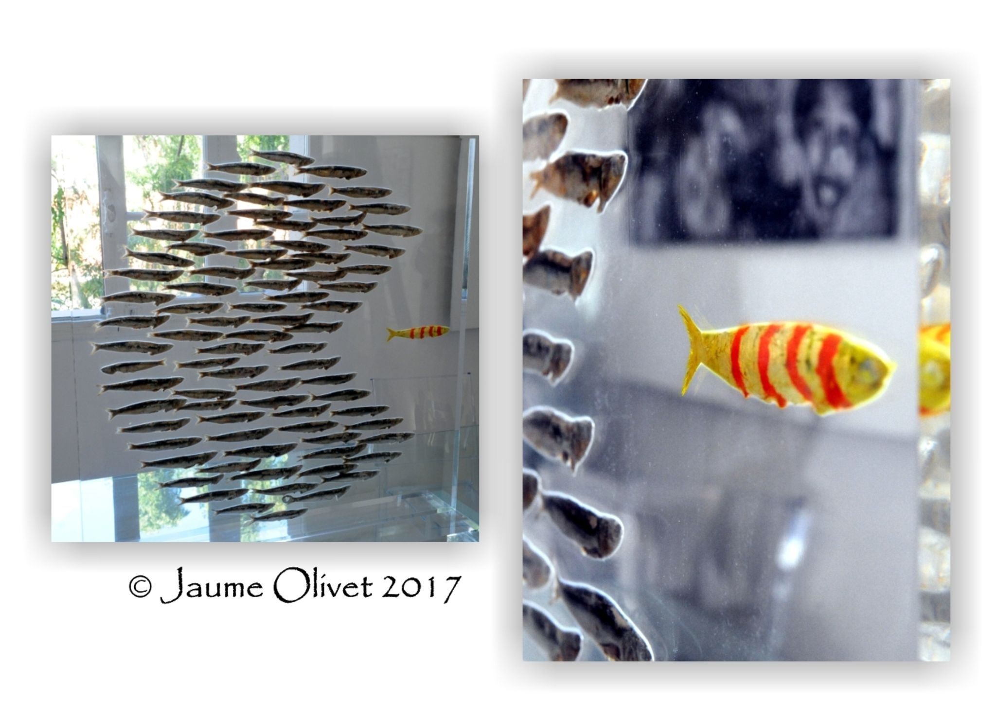  Jaume Olivet 2017
