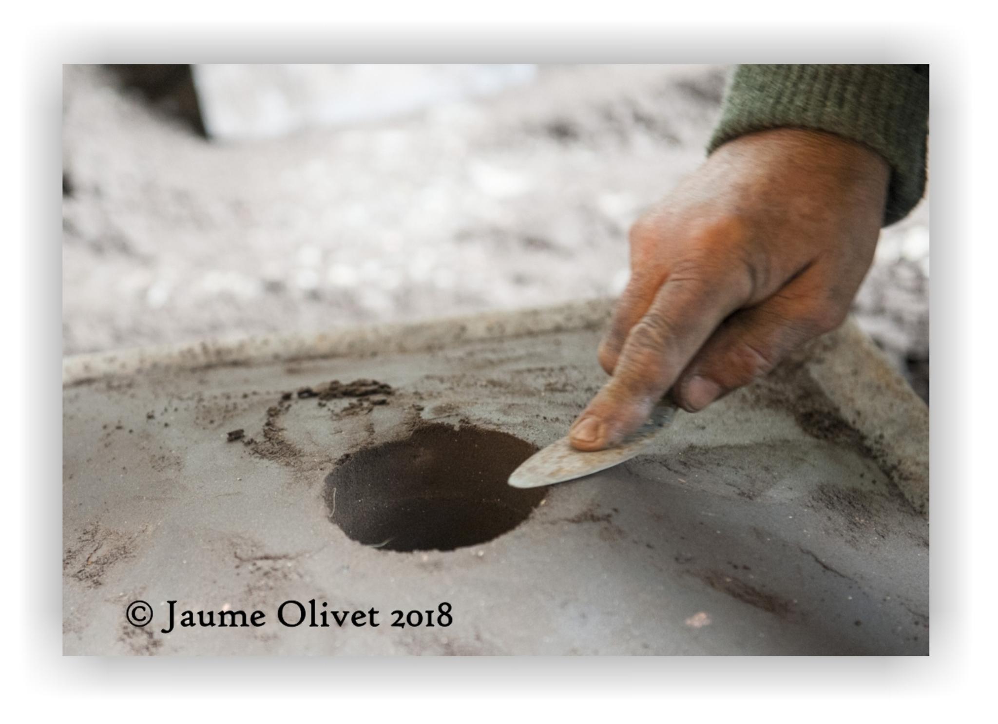  Jaume Olivet 2018