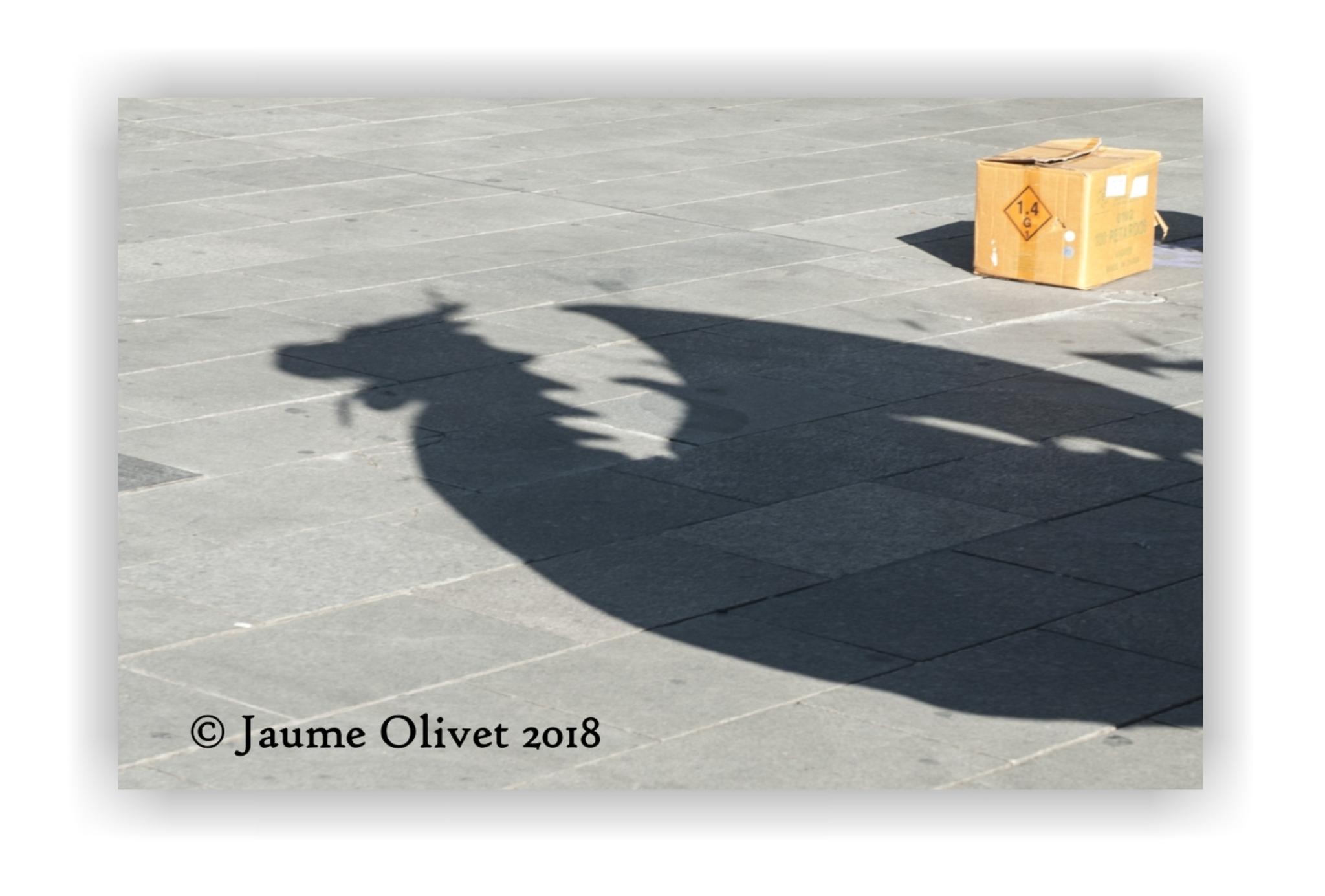  Jaume Olivet 2018