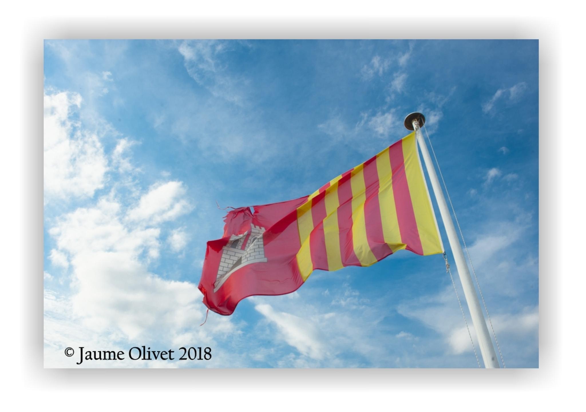  Jaume Olivet 2018