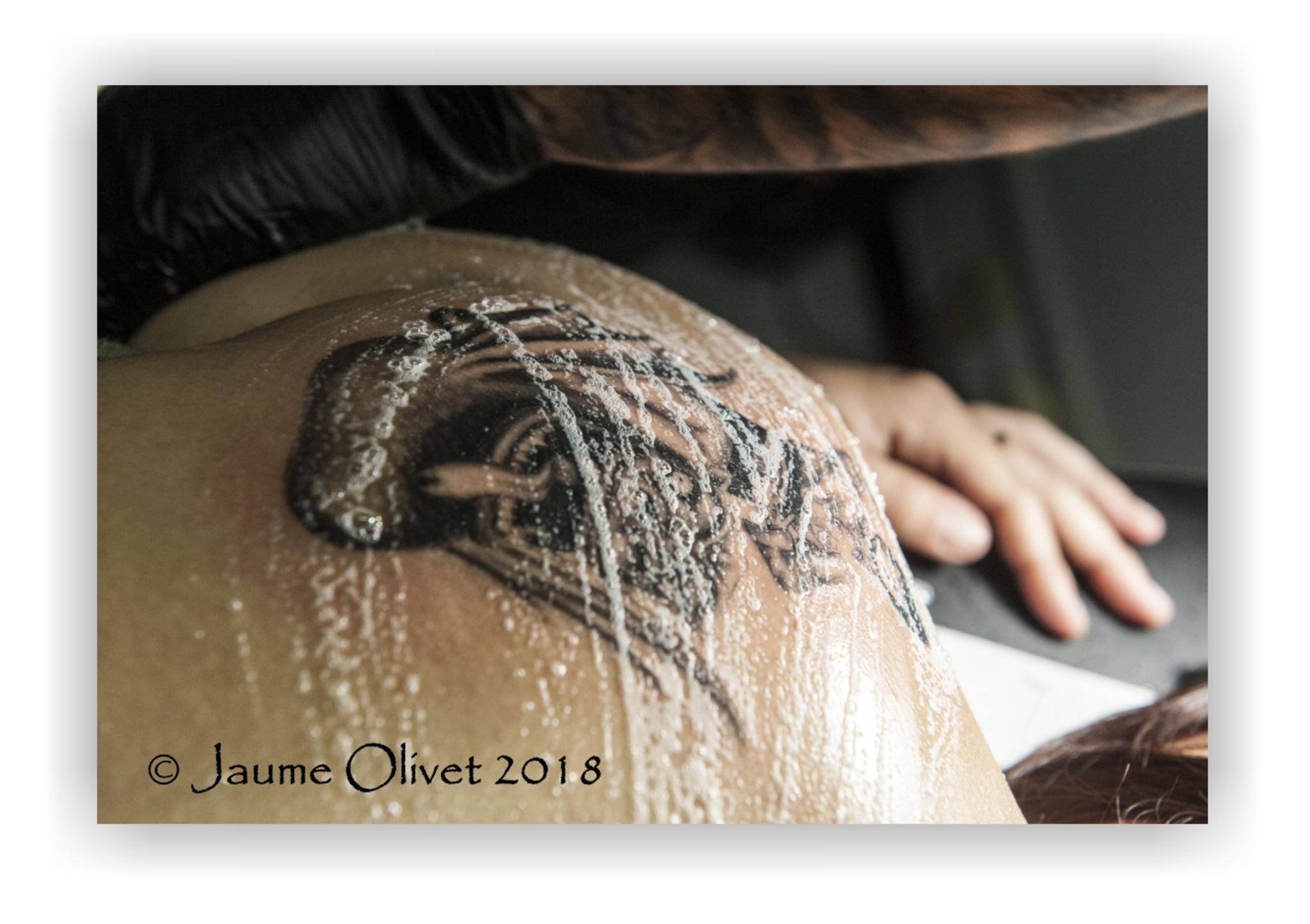  Jaume Olivet 2018