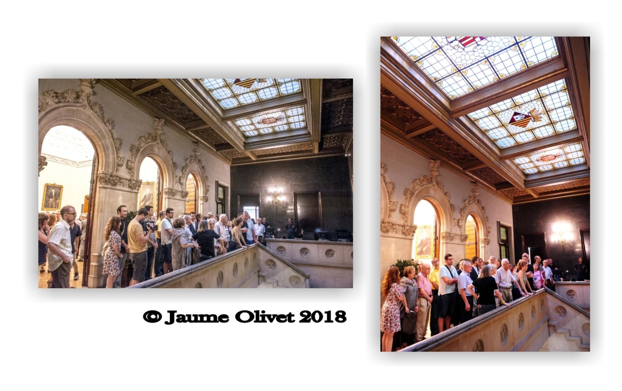 © Jaume Olivet 2018