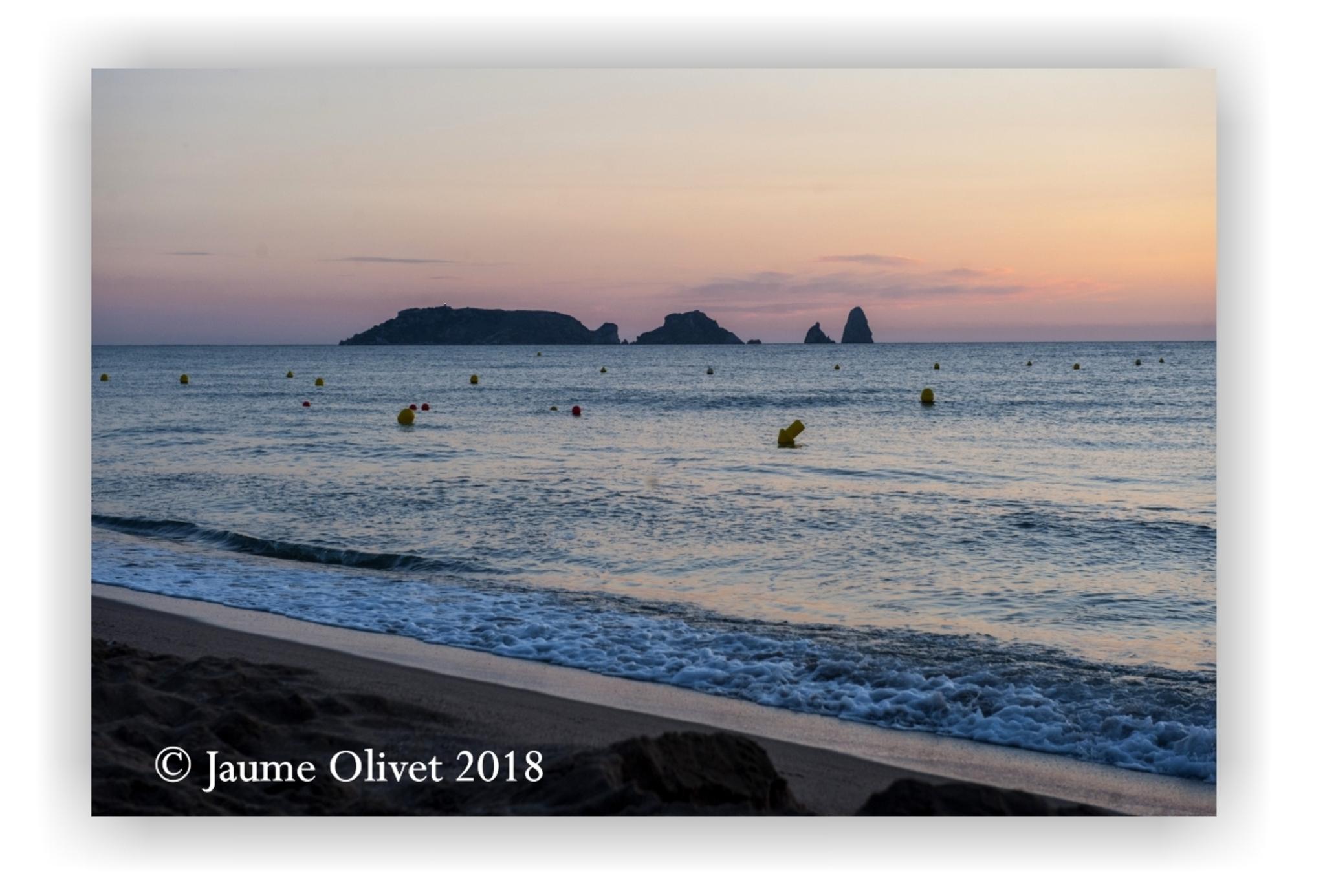  Jaume Olivet 2018