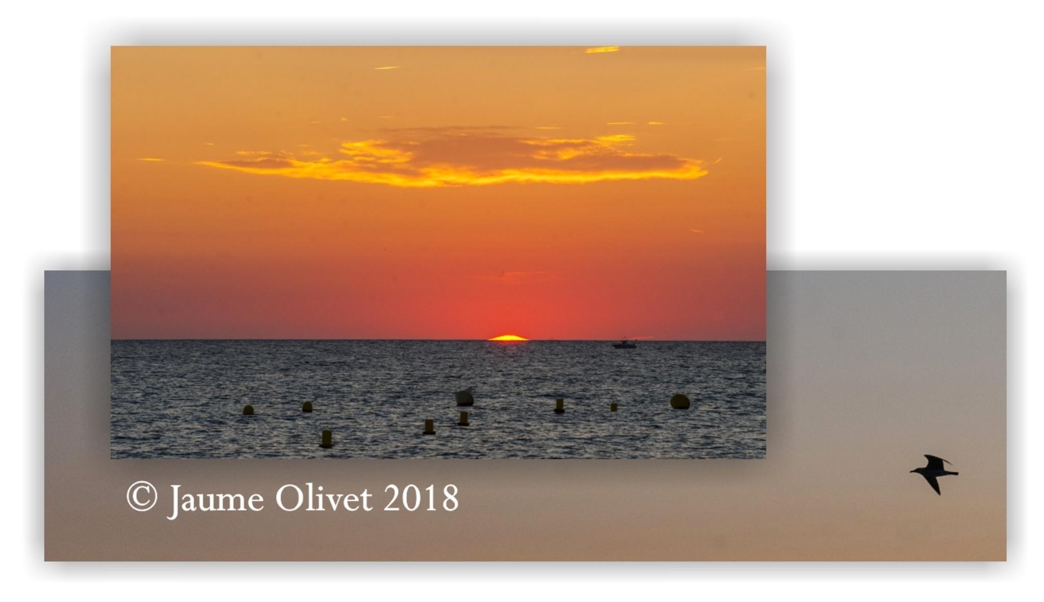  Jaume Olivet 2018