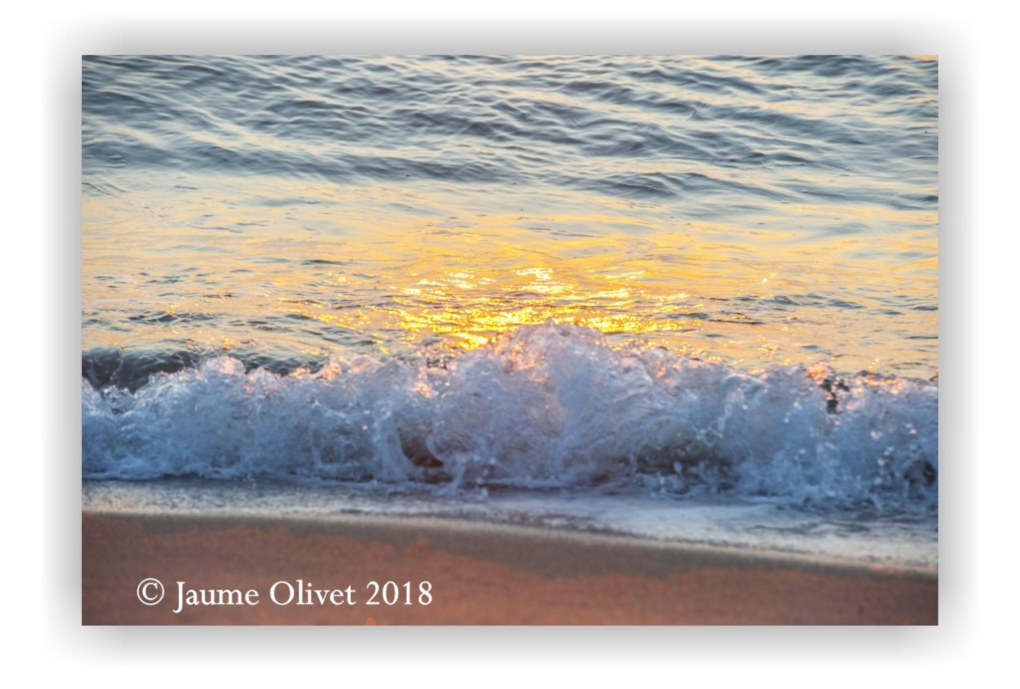  Jaume Olivet 2018