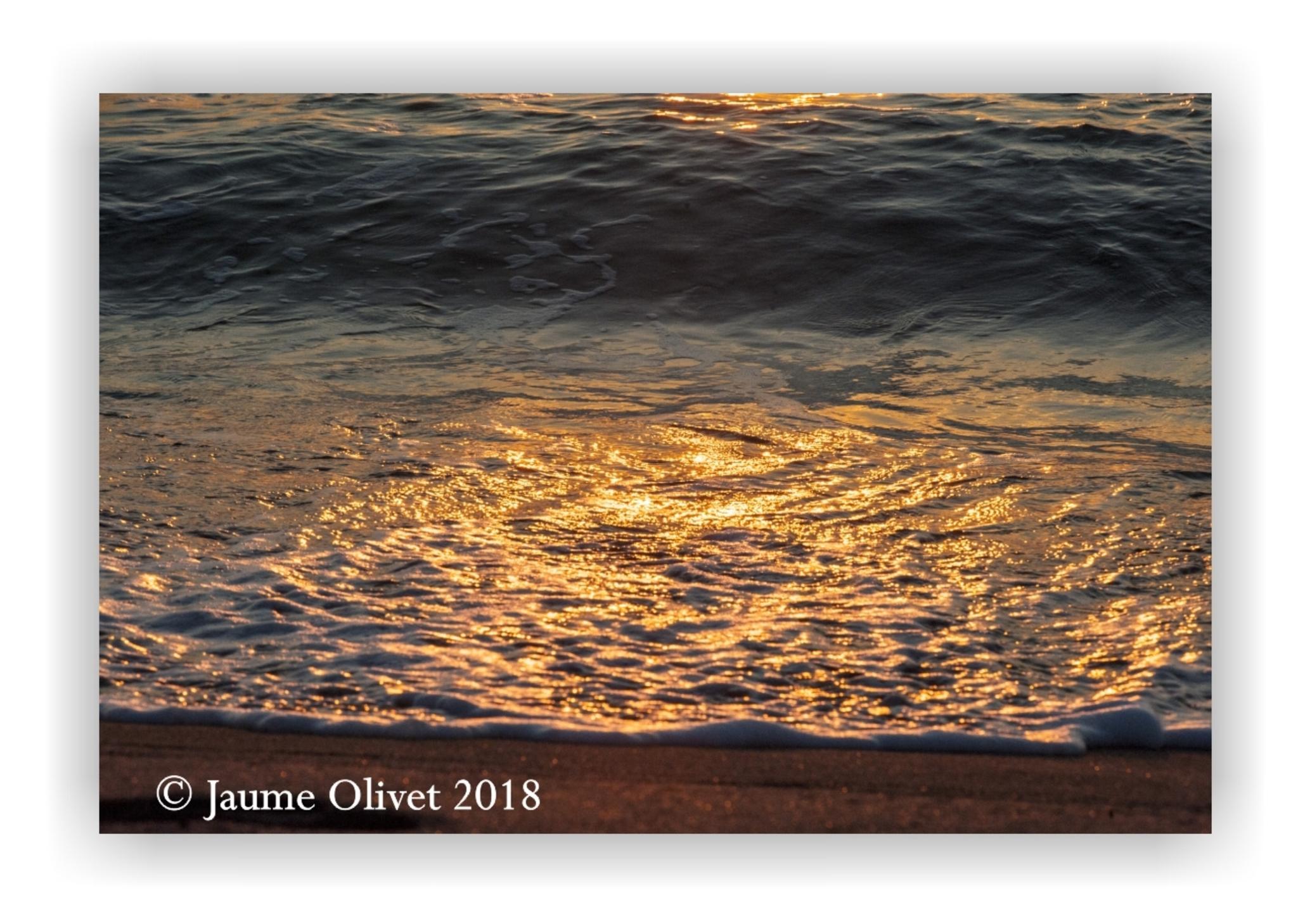  Jaume Olivet 2018