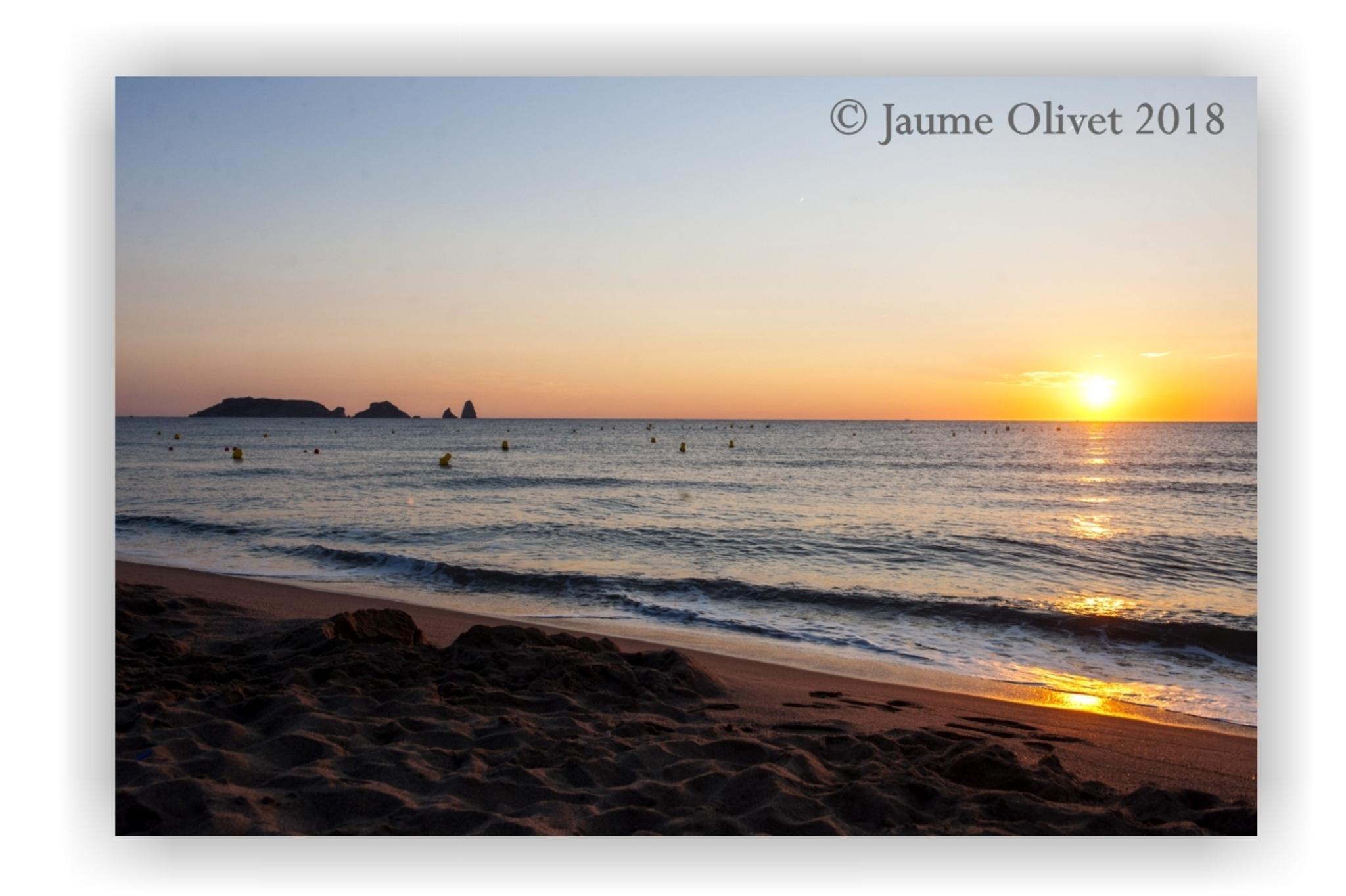  Jaume Olivet 2018