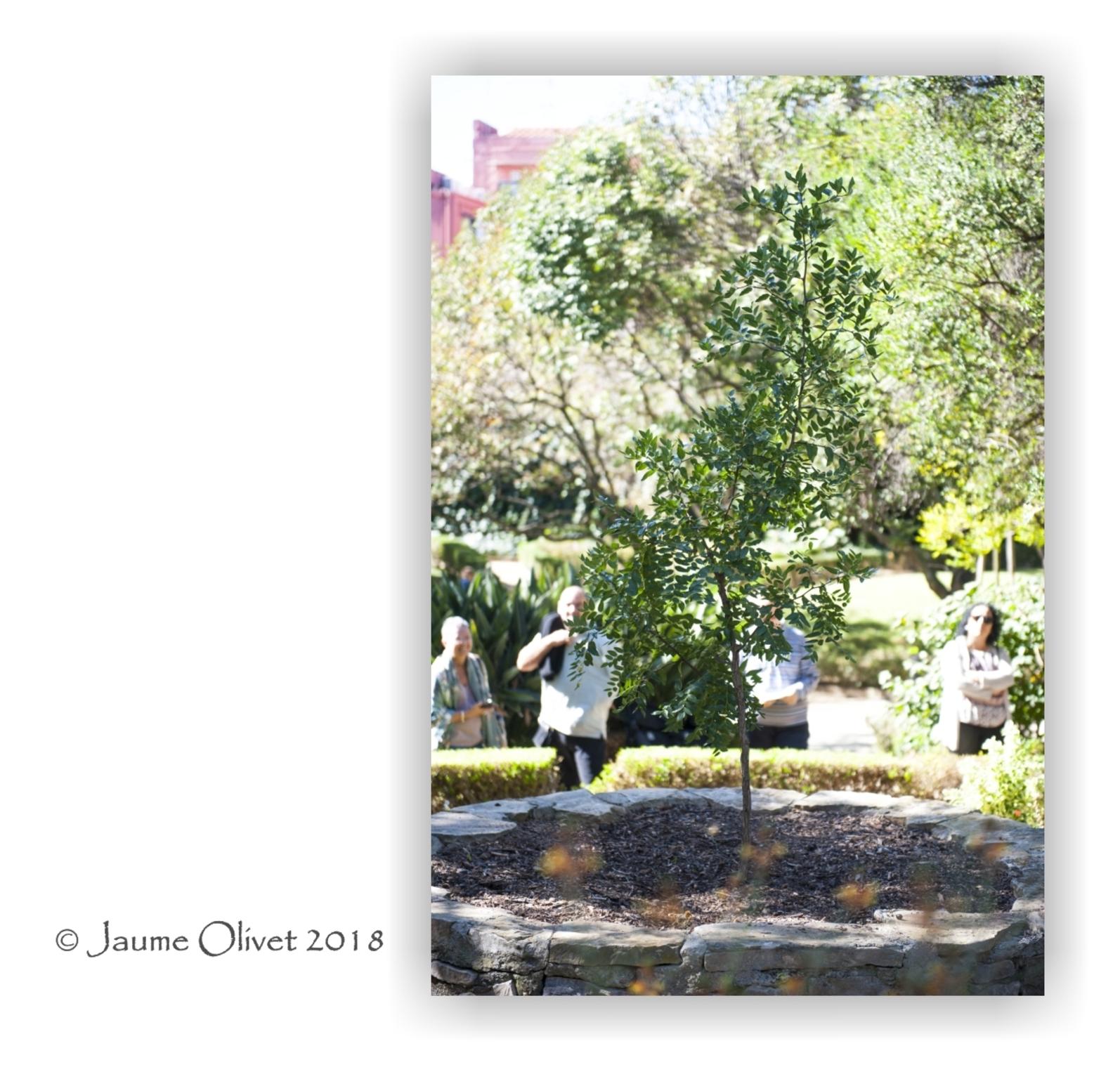 Jaume Olivet 2018