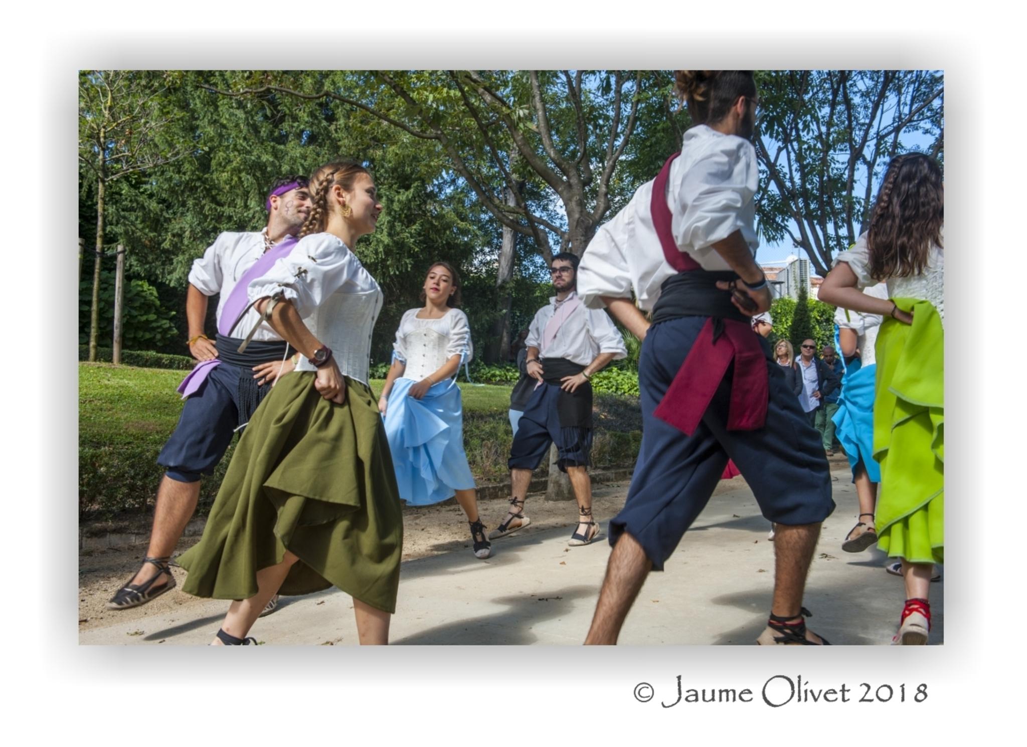 � Jaume Olivet 2018