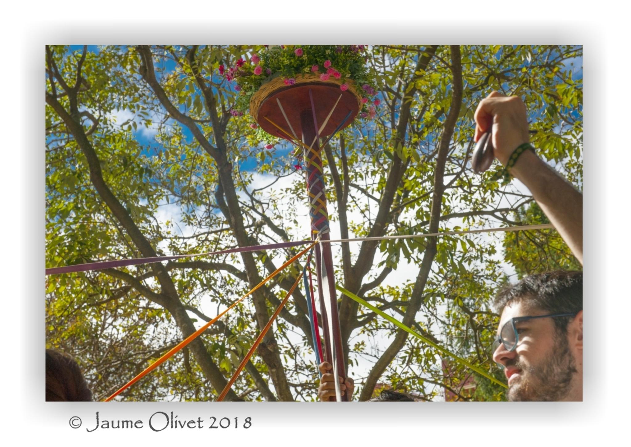 � Jaume Olivet 2018