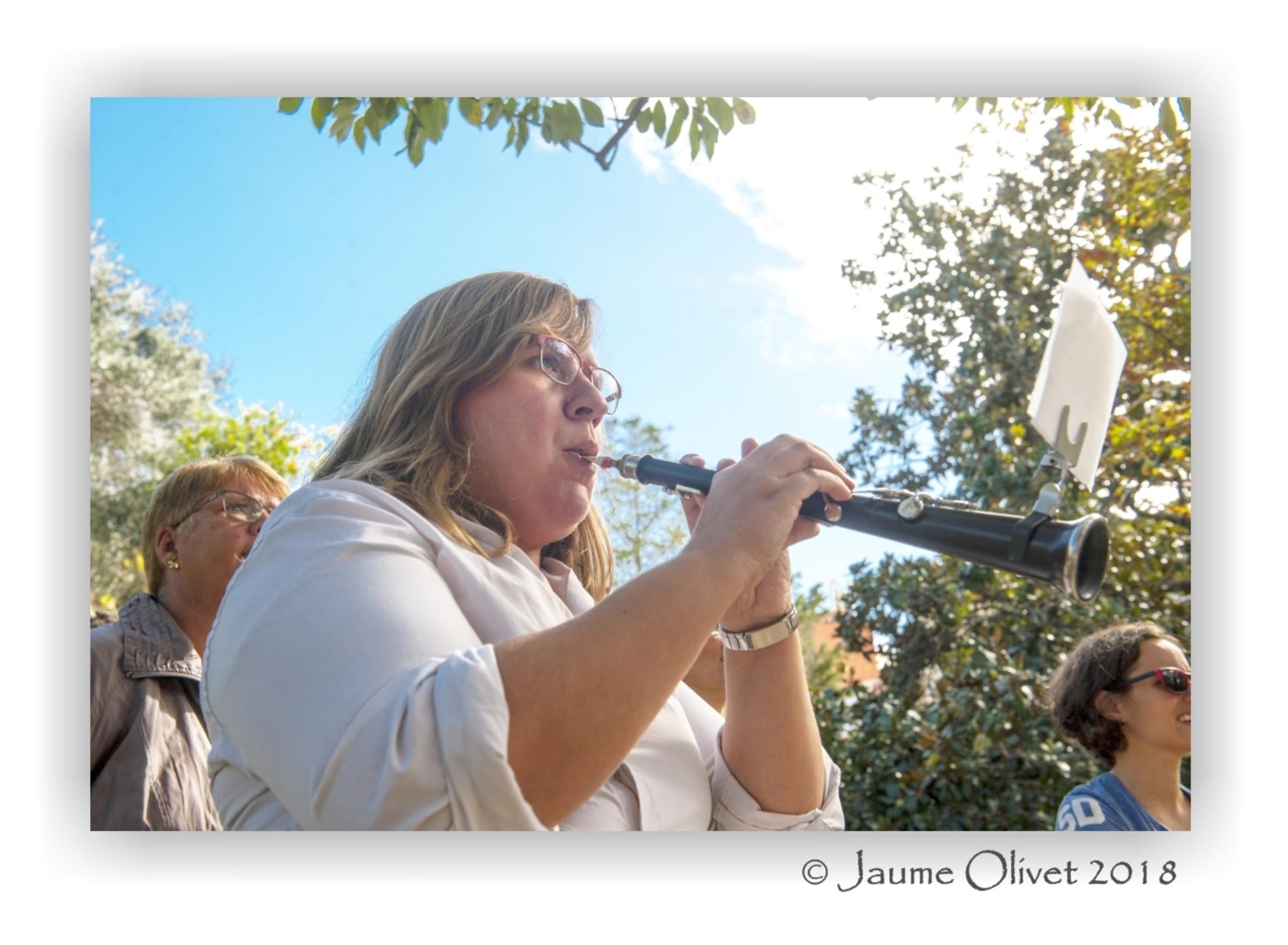 � Jaume Olivet 2018