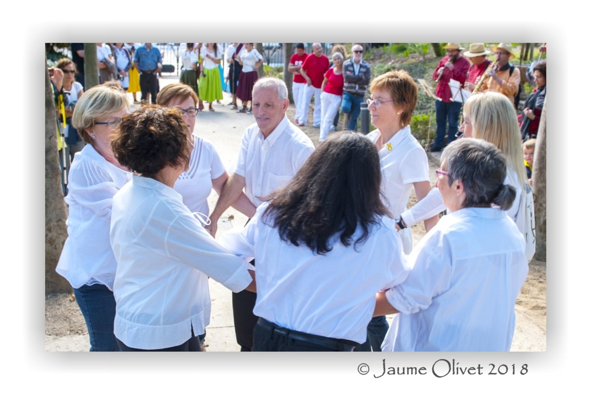 � Jaume Olivet 2018