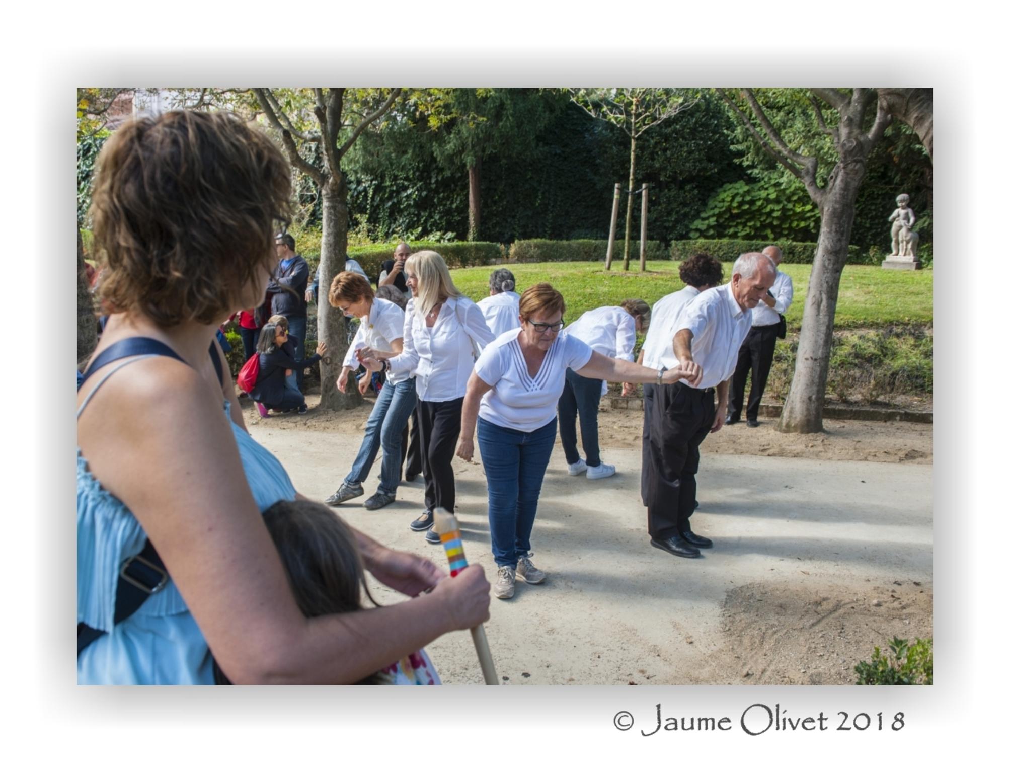 � Jaume Olivet 2018