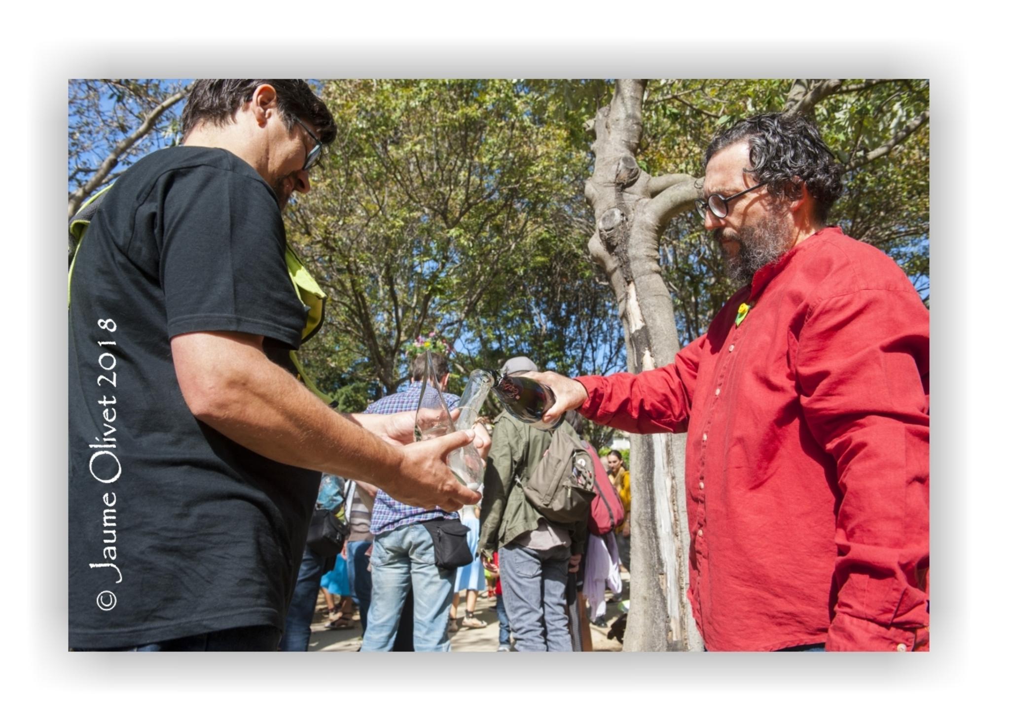 � Jaume Olivet 2018