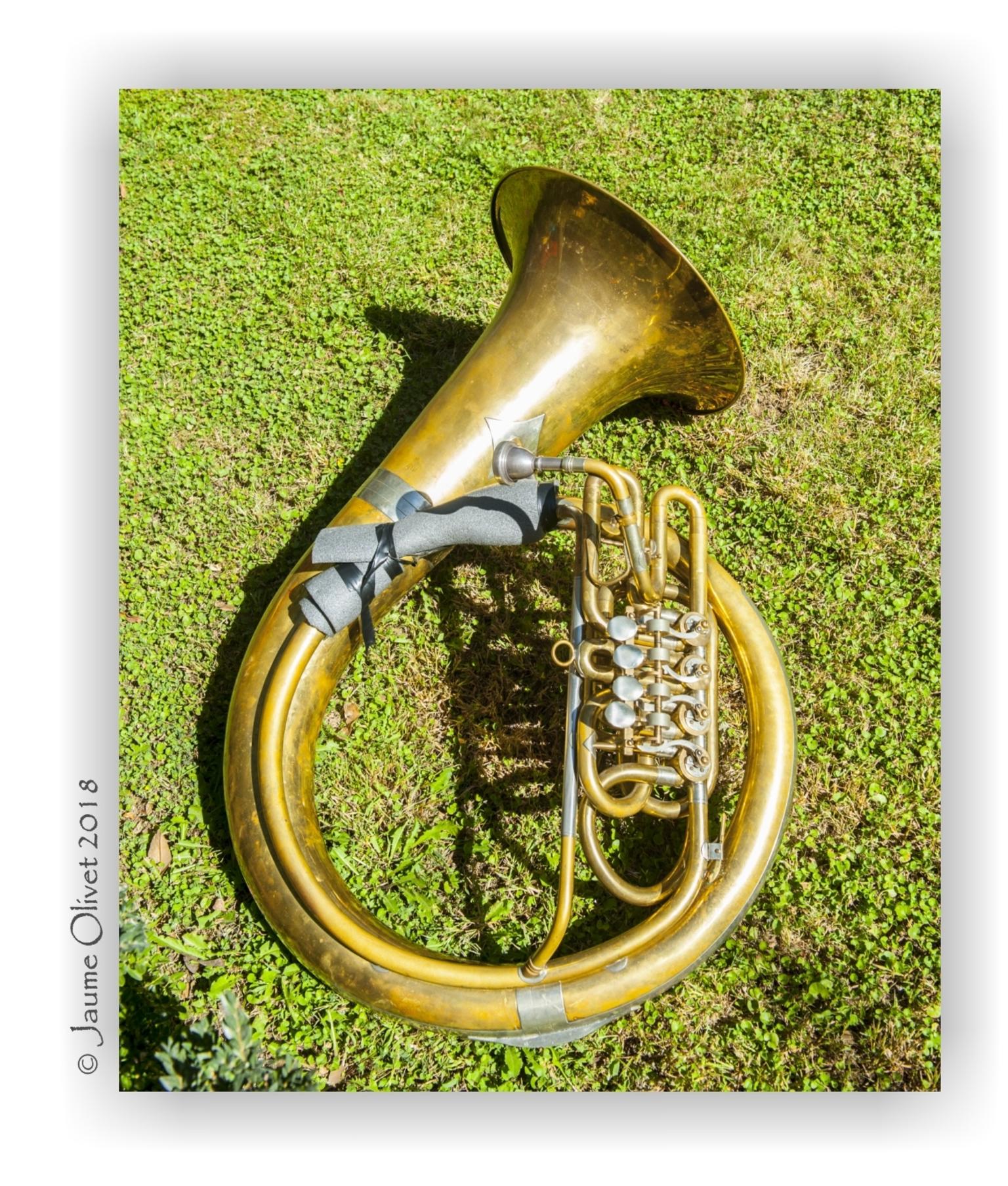 � Jaume Olivet 2018