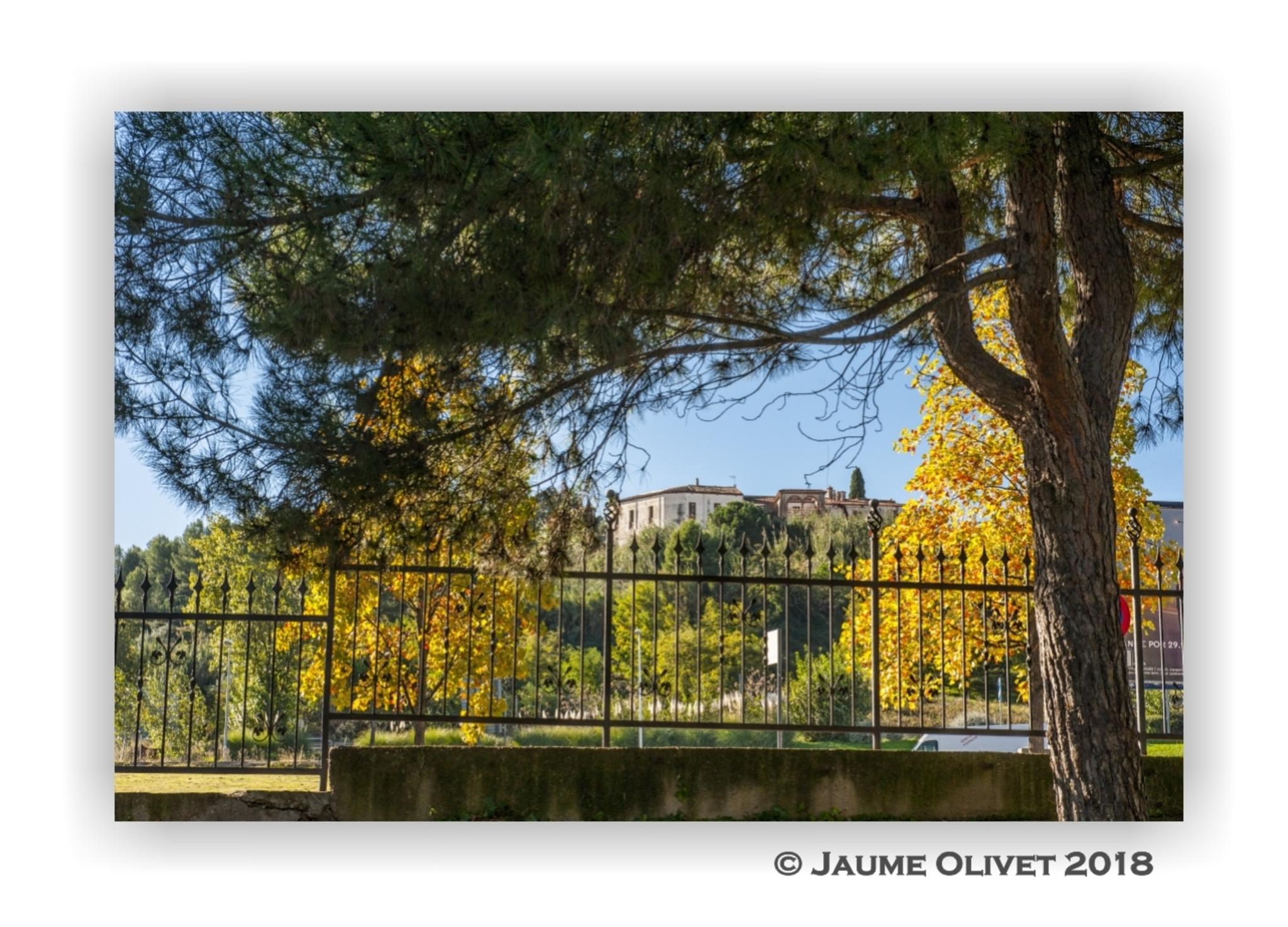  Jaume Olivet 2018