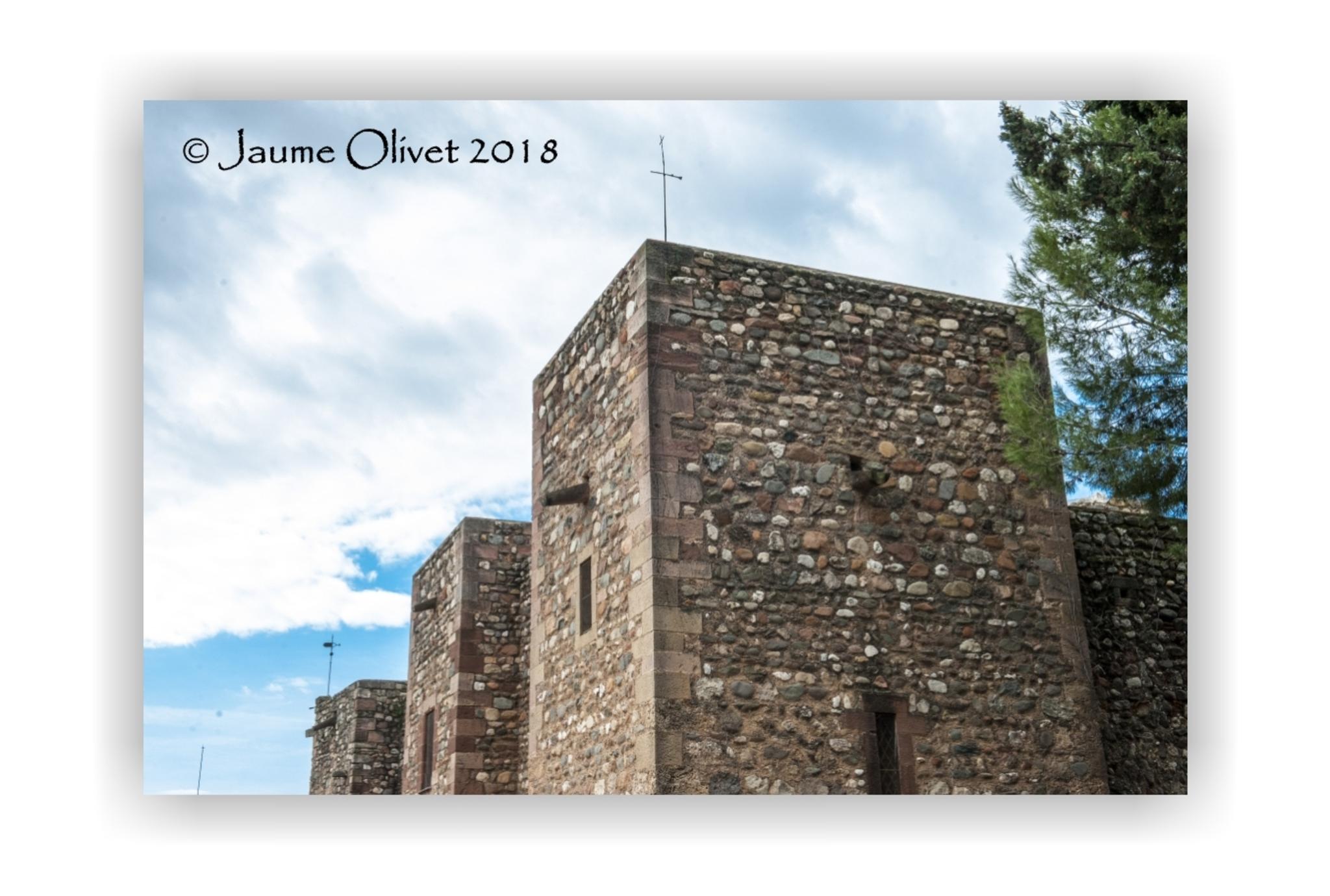 Jaume Olivet 2018