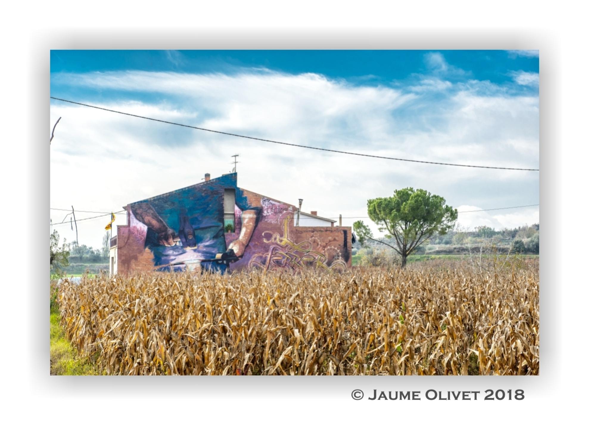  Jaume Olivet 2018