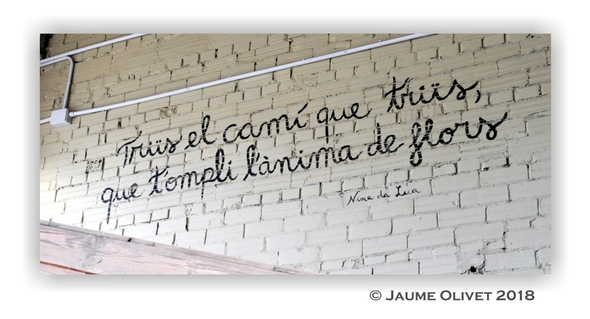  Jaume Olivet 2018