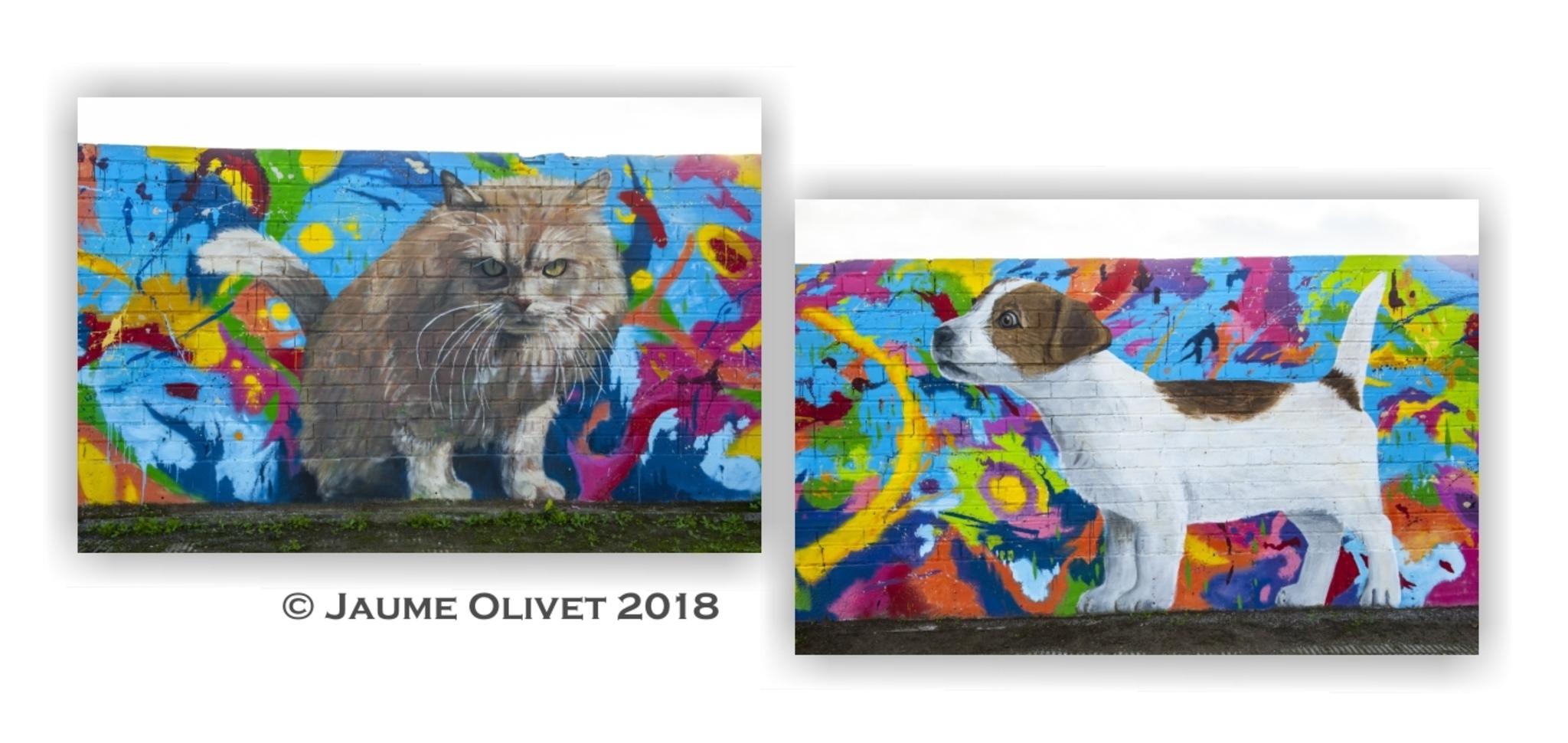  Jaume Olivet 2018