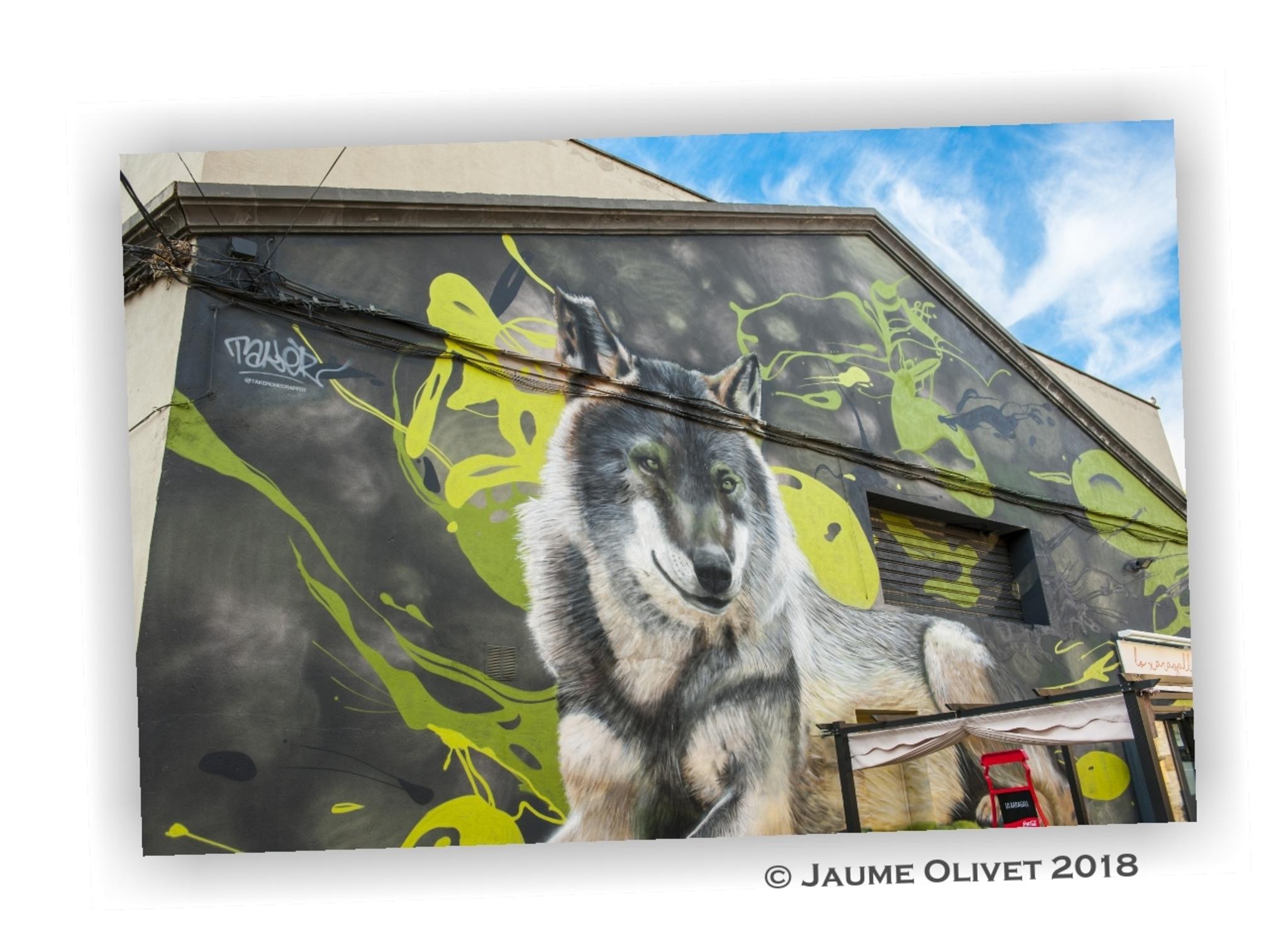  Jaume Olivet 2018