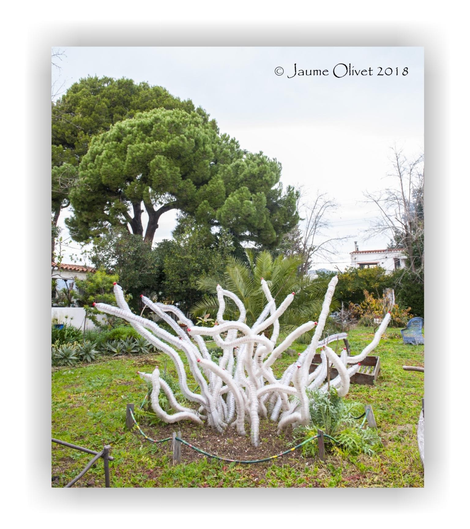  Jaume Olivet 2018
