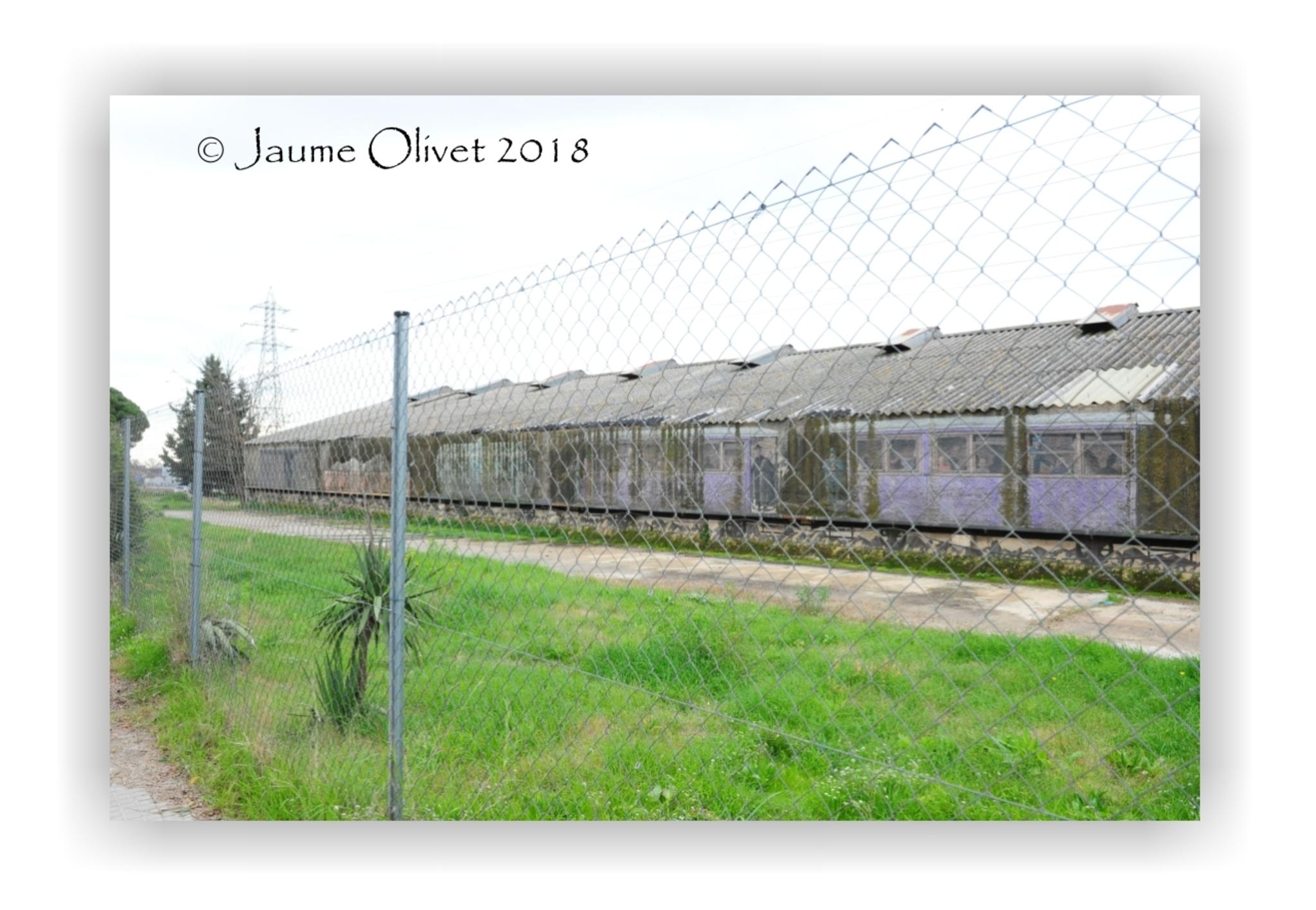  Jaume Olivet 2018