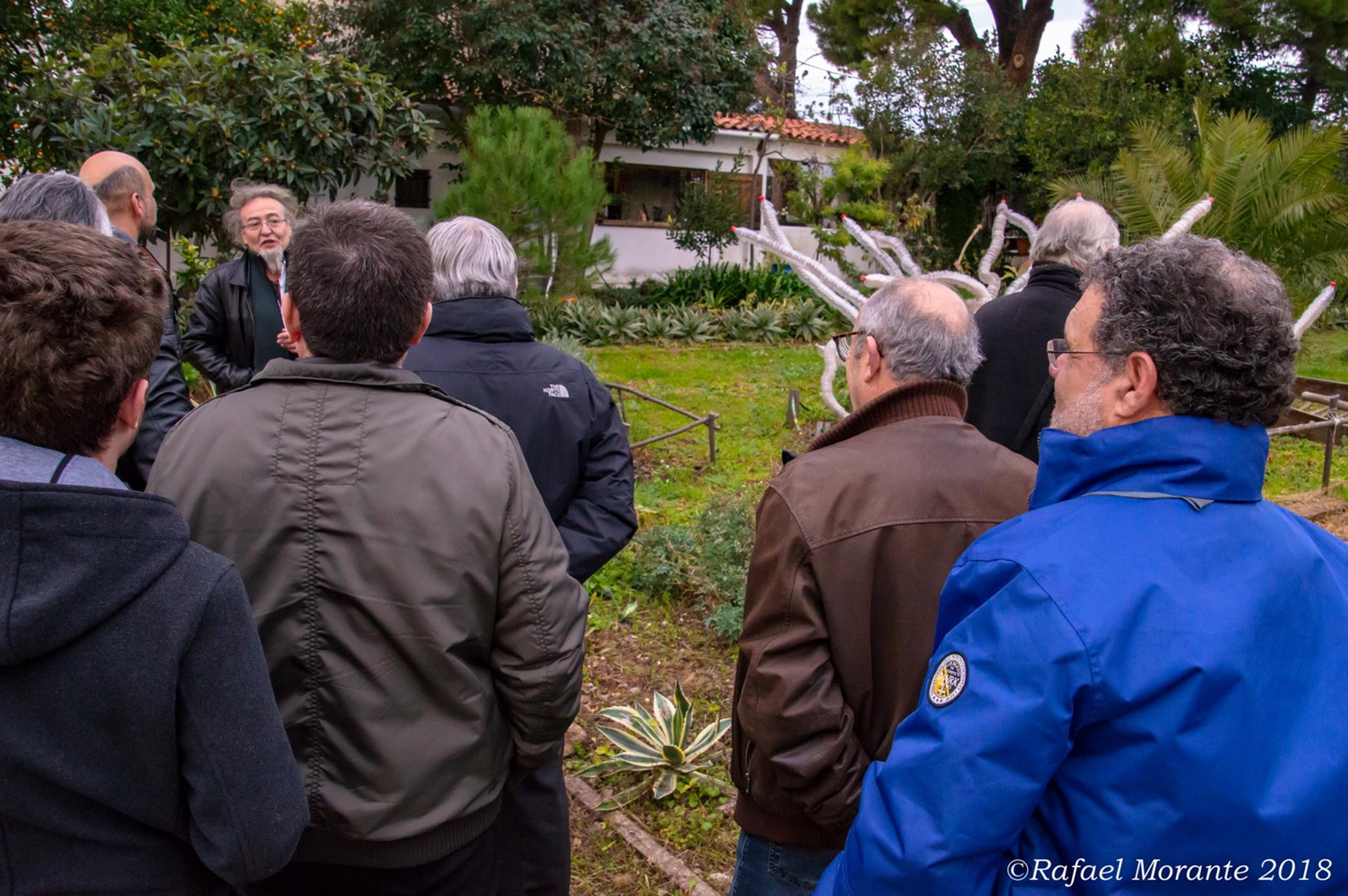  Rafael Morante 2018