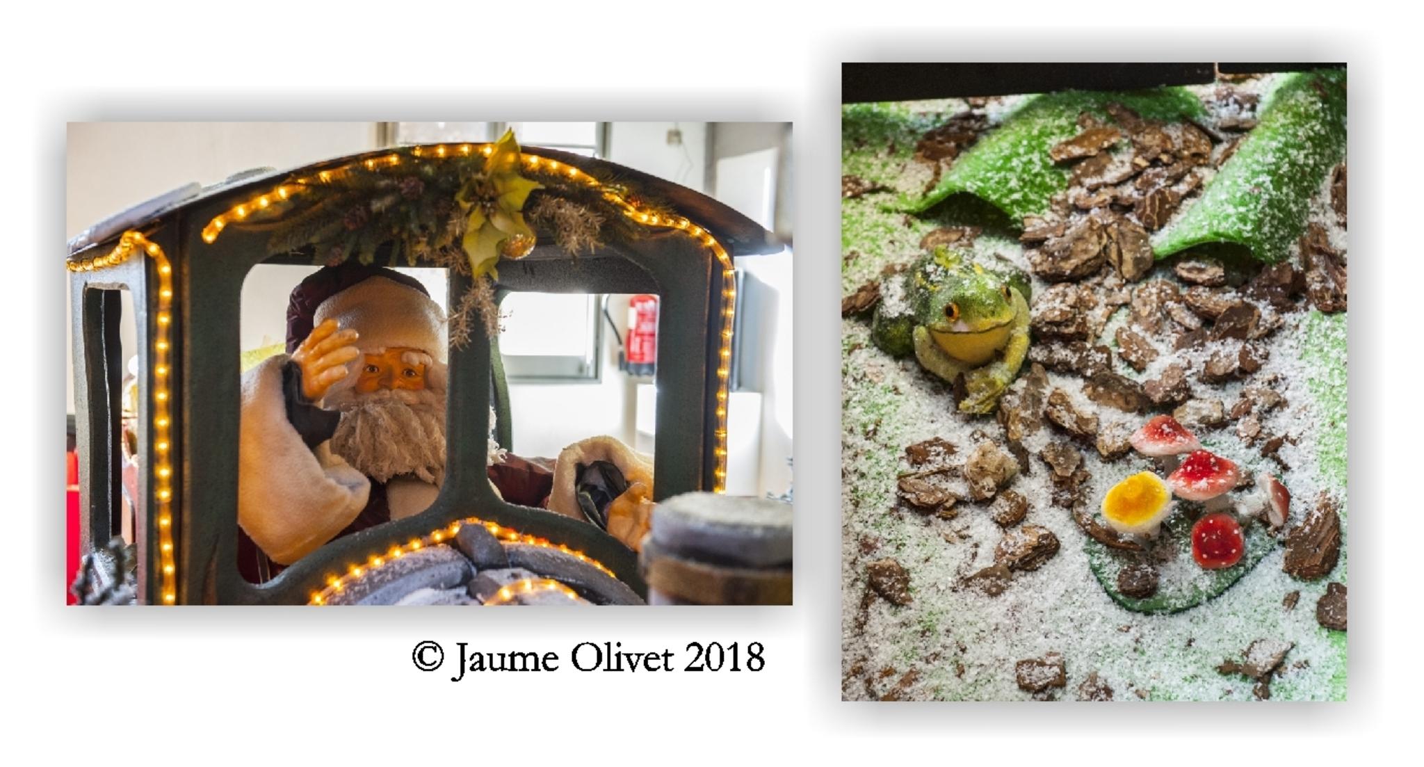  Jaume Olivet 2018