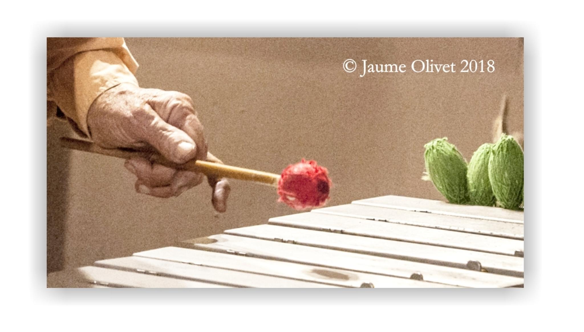  Jaume Olivet 2018