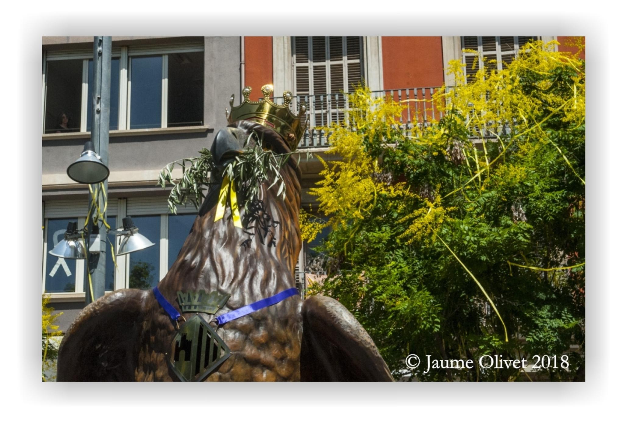  Jaume Olivet 2018