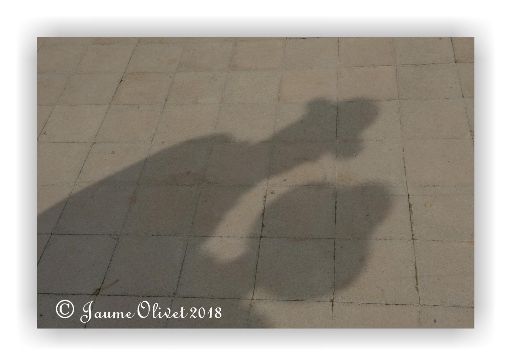  Jaume Olivet 2018
