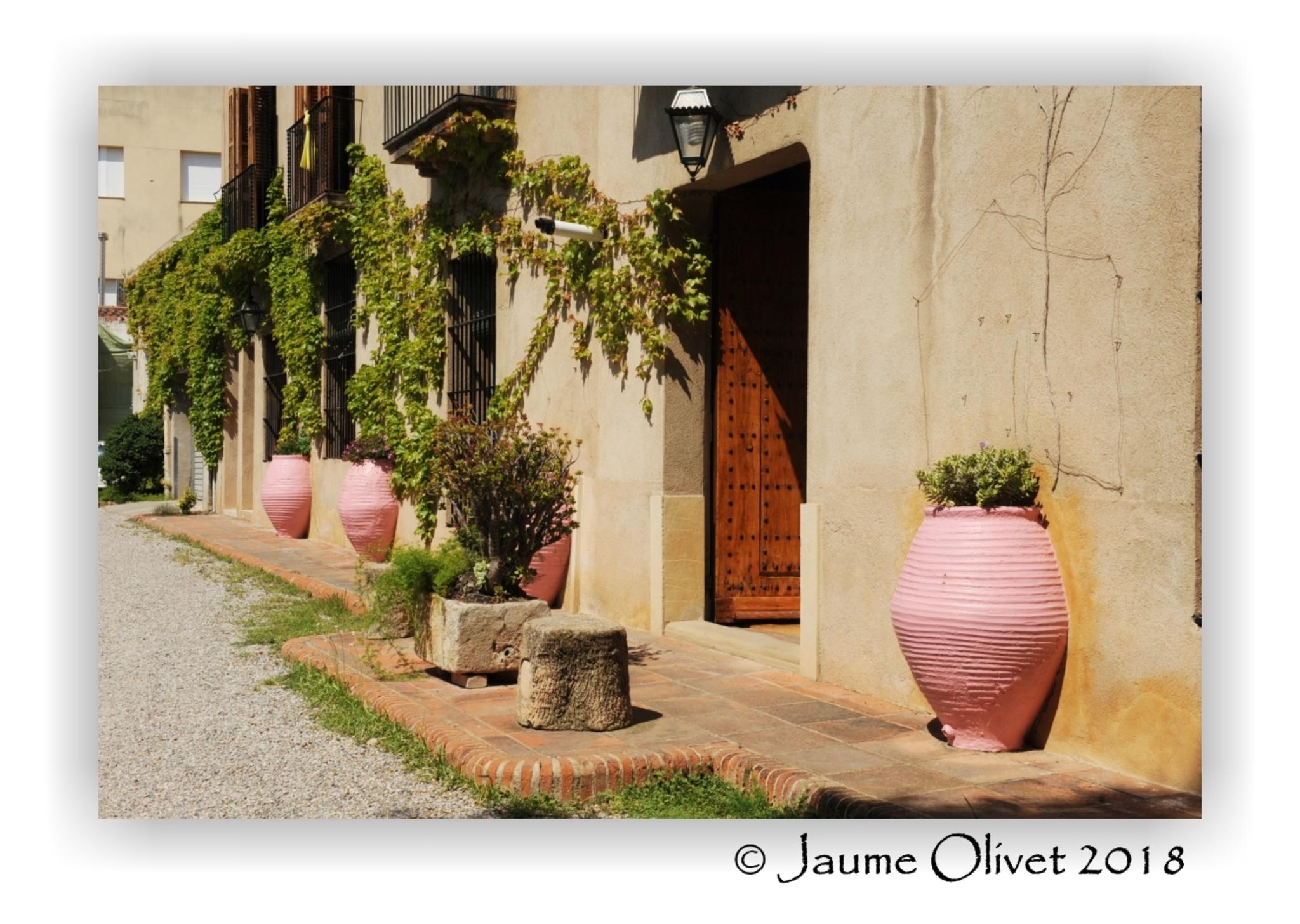  Jaume Olivet 2018