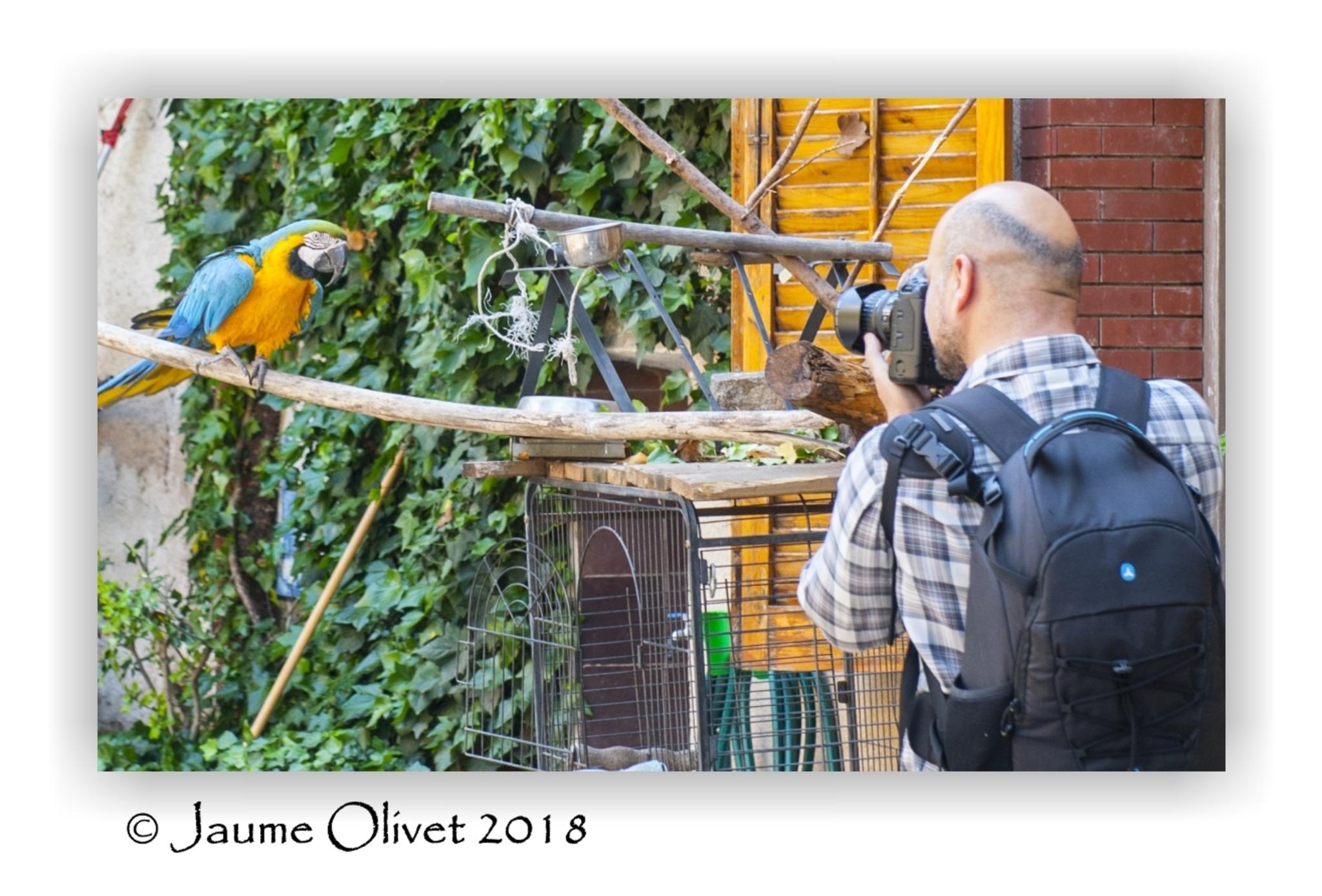  Jaume Olivet 2018