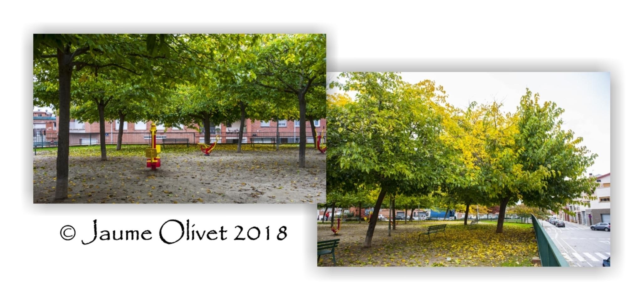  Jaume Olivet 2018