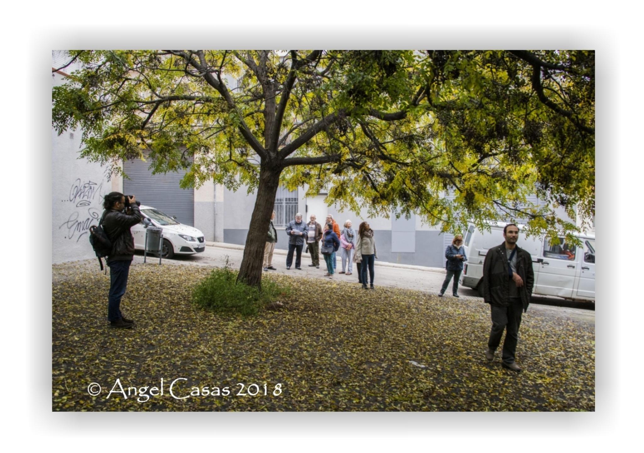  Jaume Olivet 2018